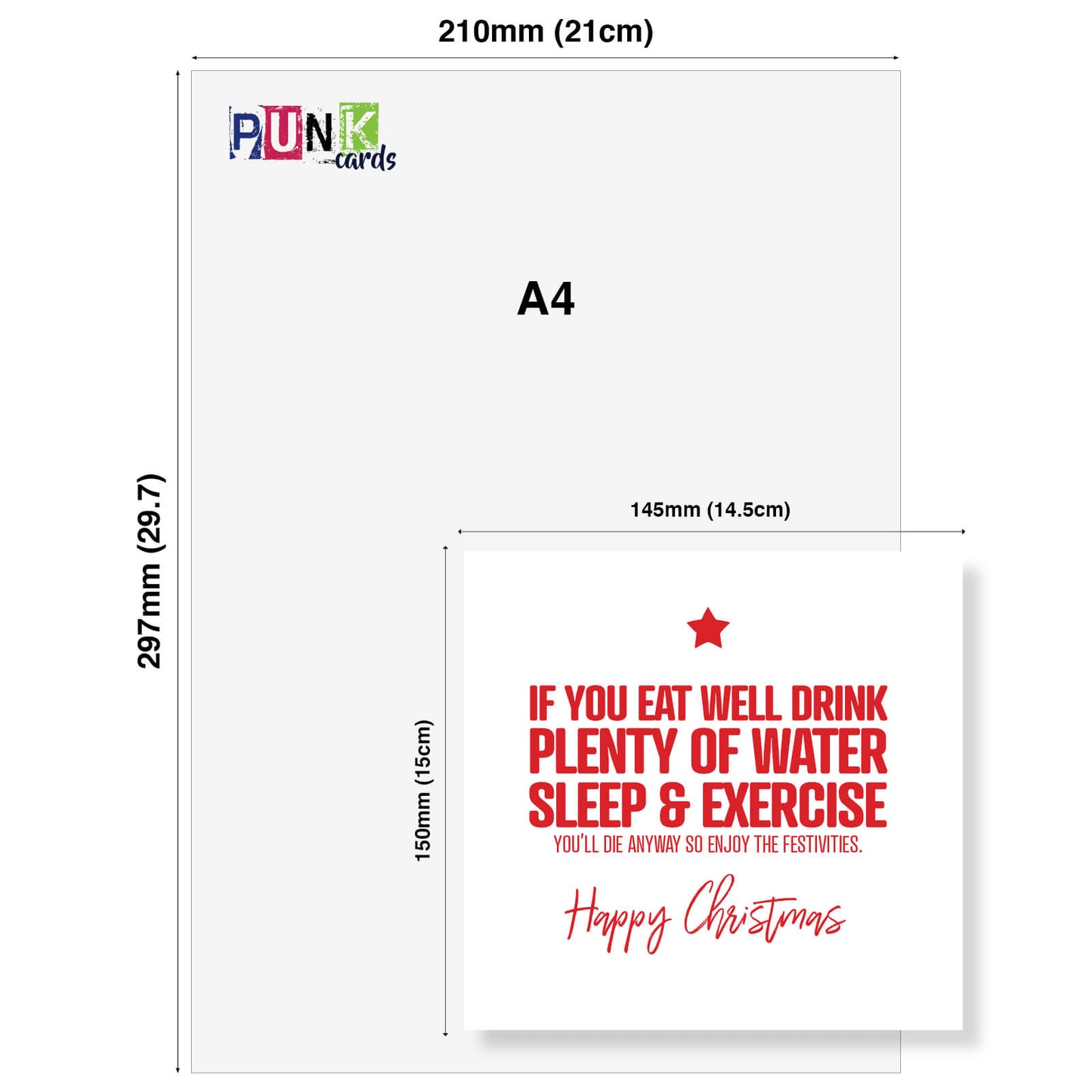 "Eat Well, Drink Water, Sleep, Exercise – You’ll Die Anyway" Christmas Card