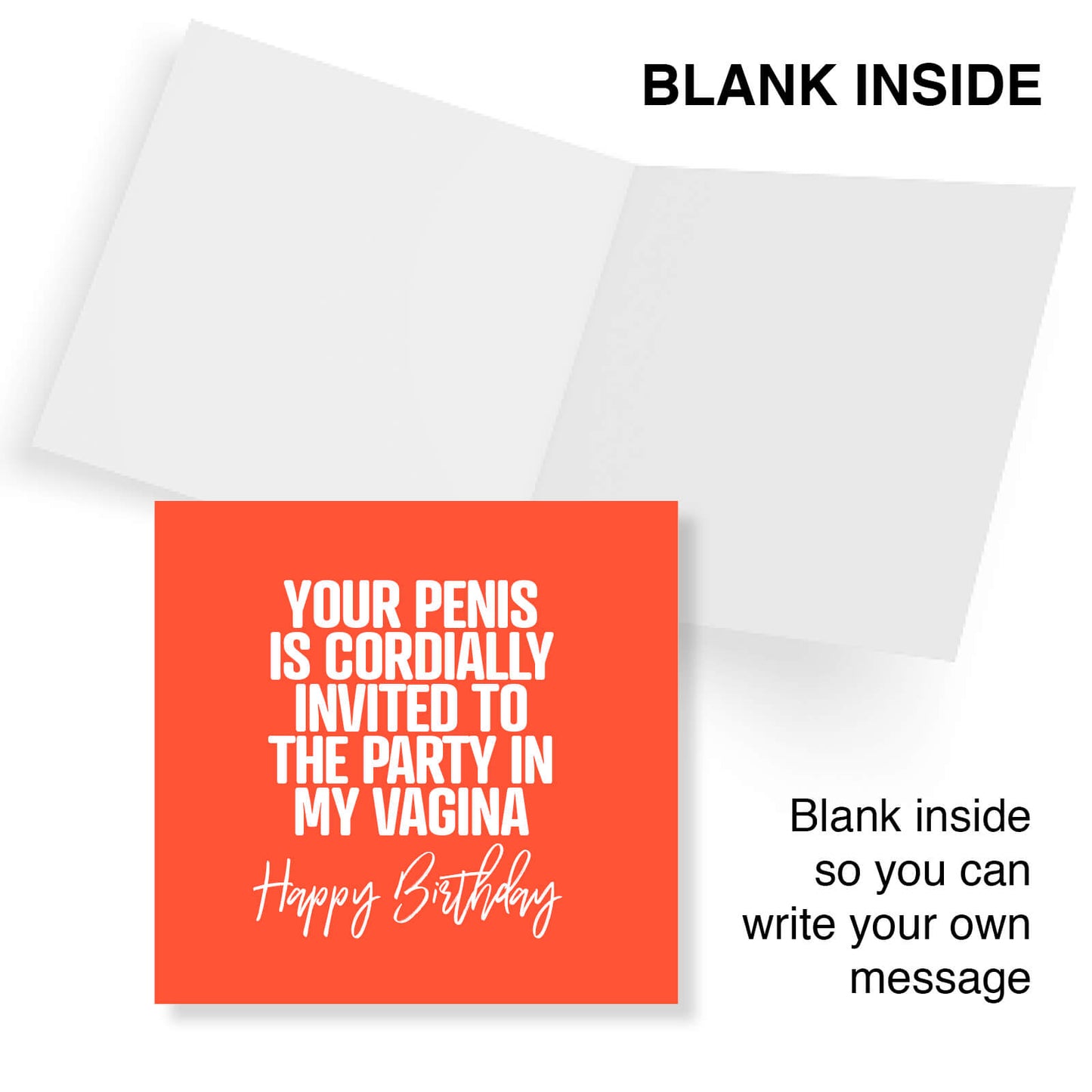 Your Penis Is Cordially Invited To The Party In My Vagina