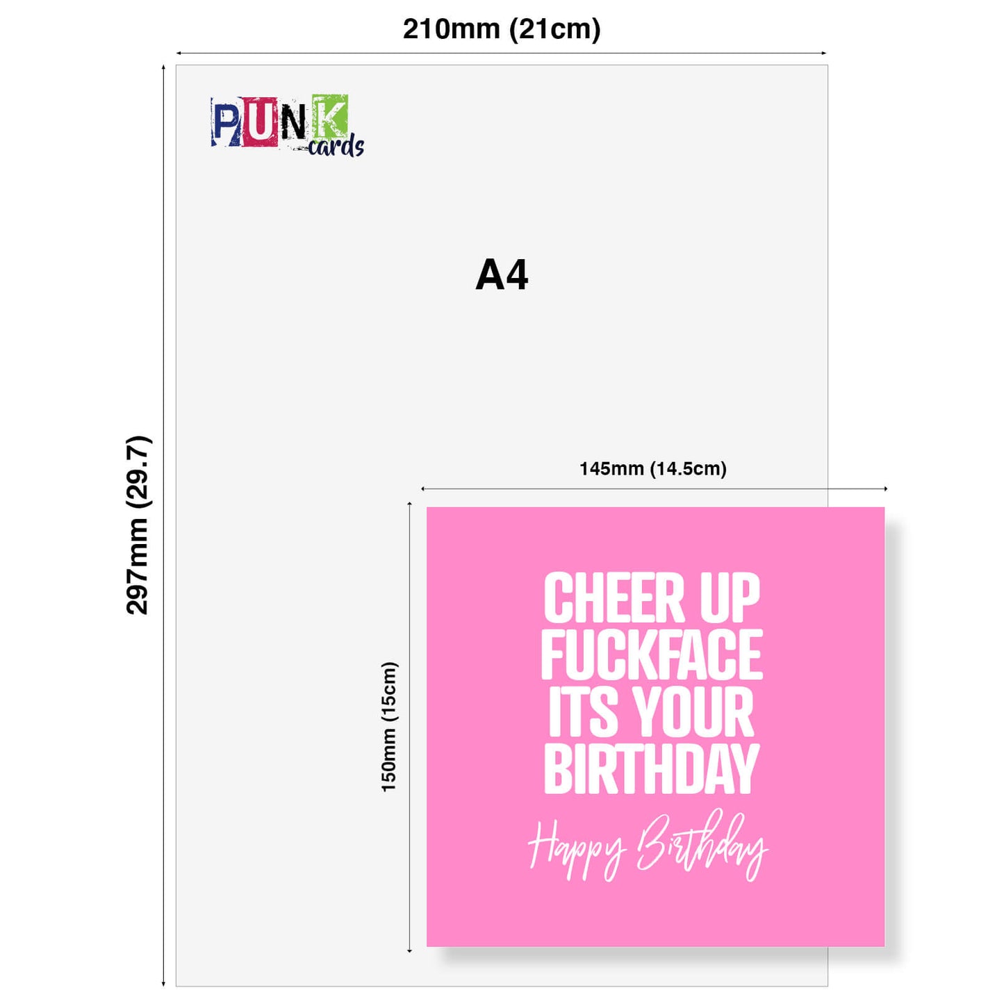Cheer Up Fuckface Its Your Birthday Happy Birthday