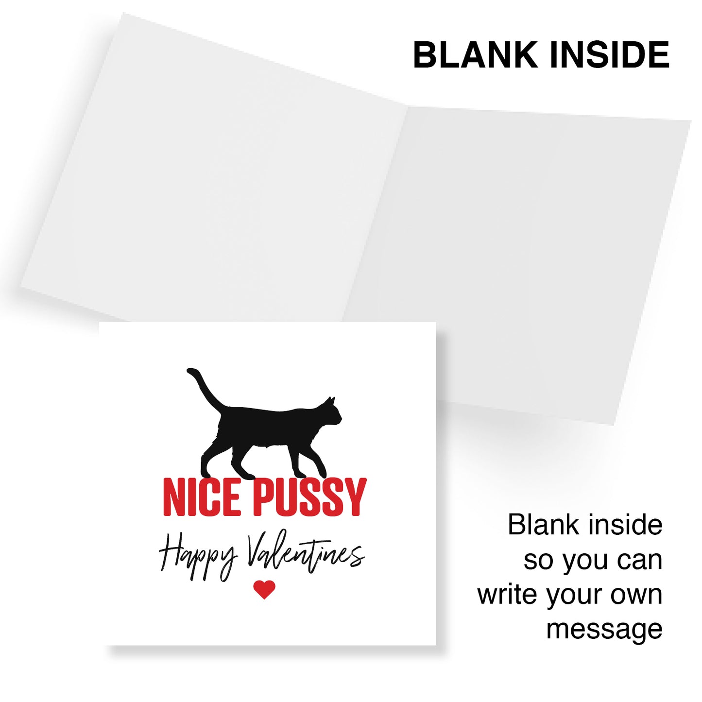 "Nice Pussy" Valentine's Day Card