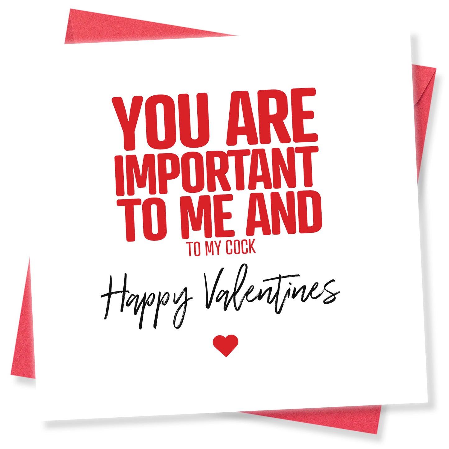 You Are Important To Me And To My Cock