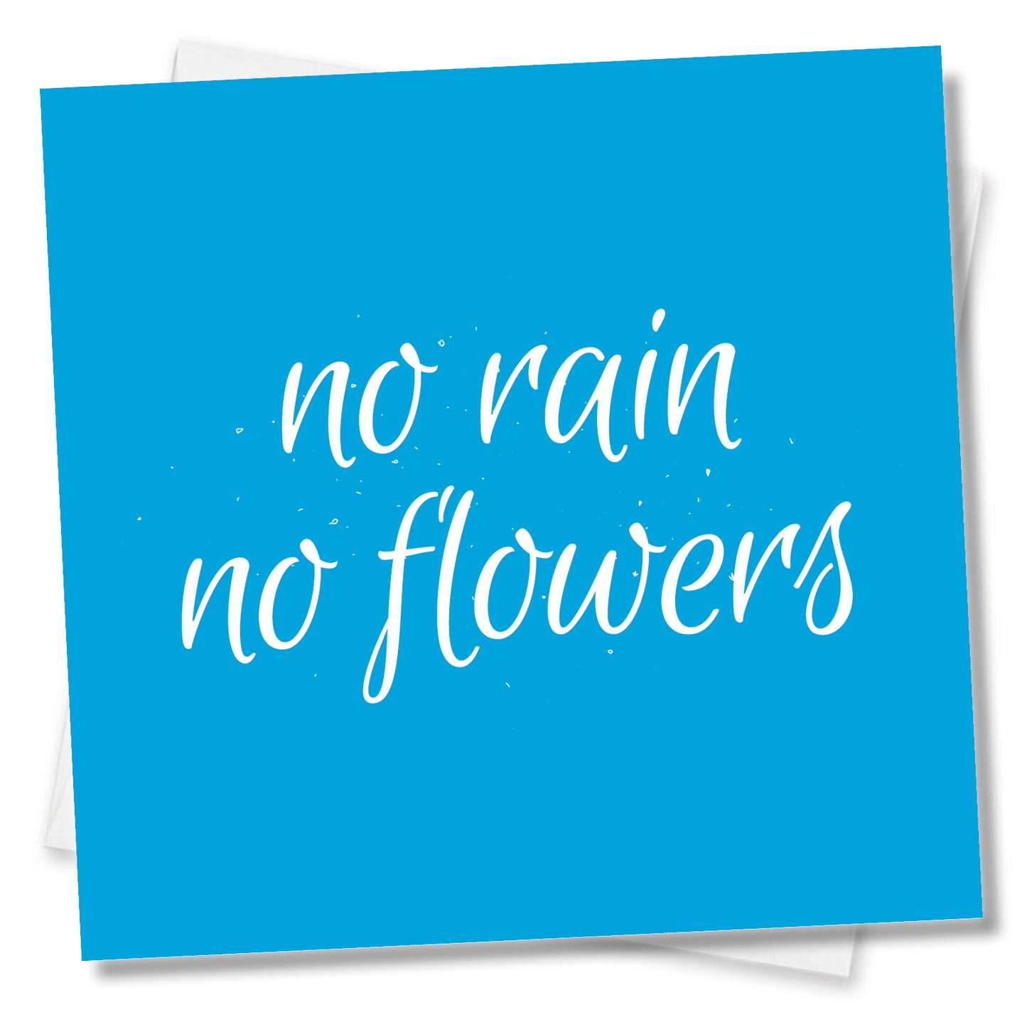 No Rain No Flowers