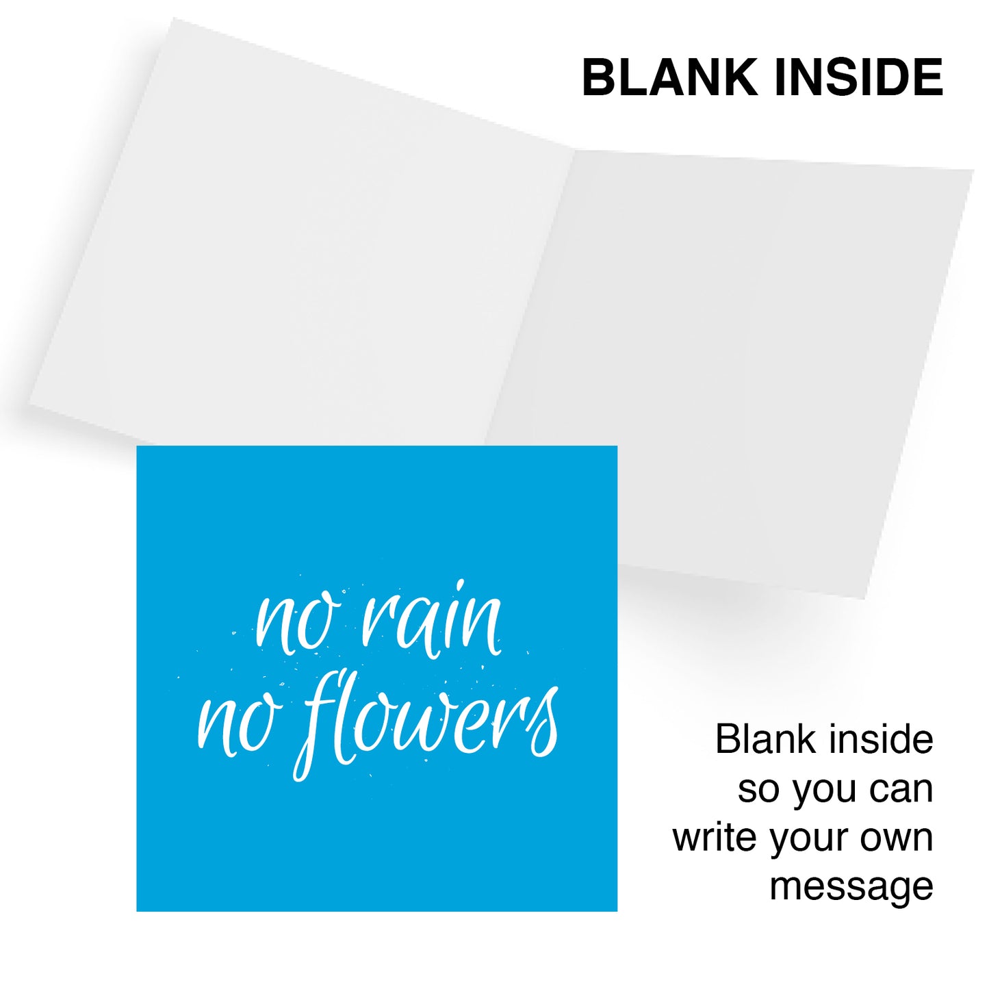 No Rain No Flowers