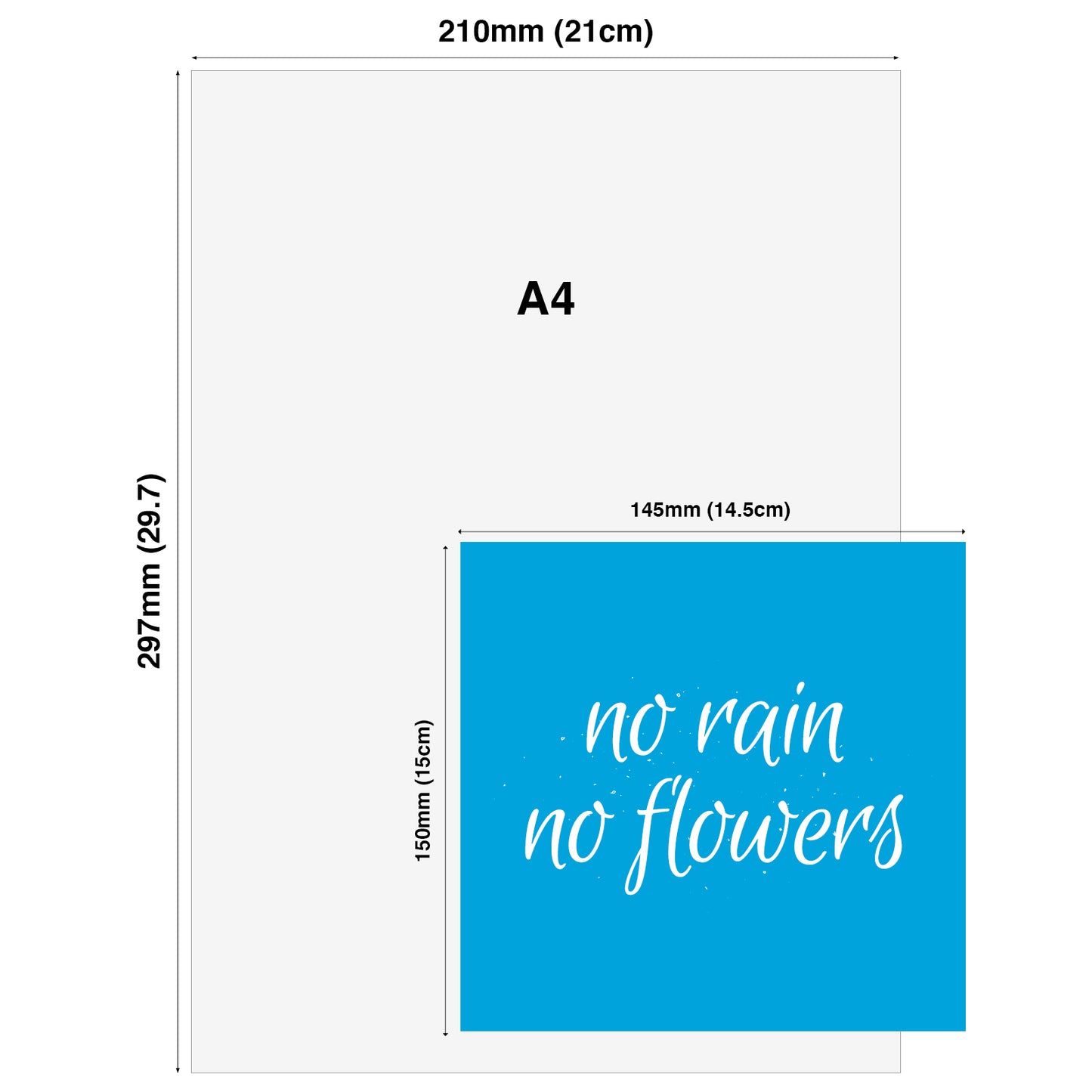 No Rain No Flowers