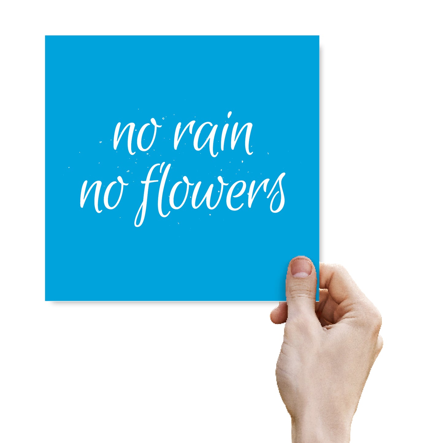 No Rain No Flowers