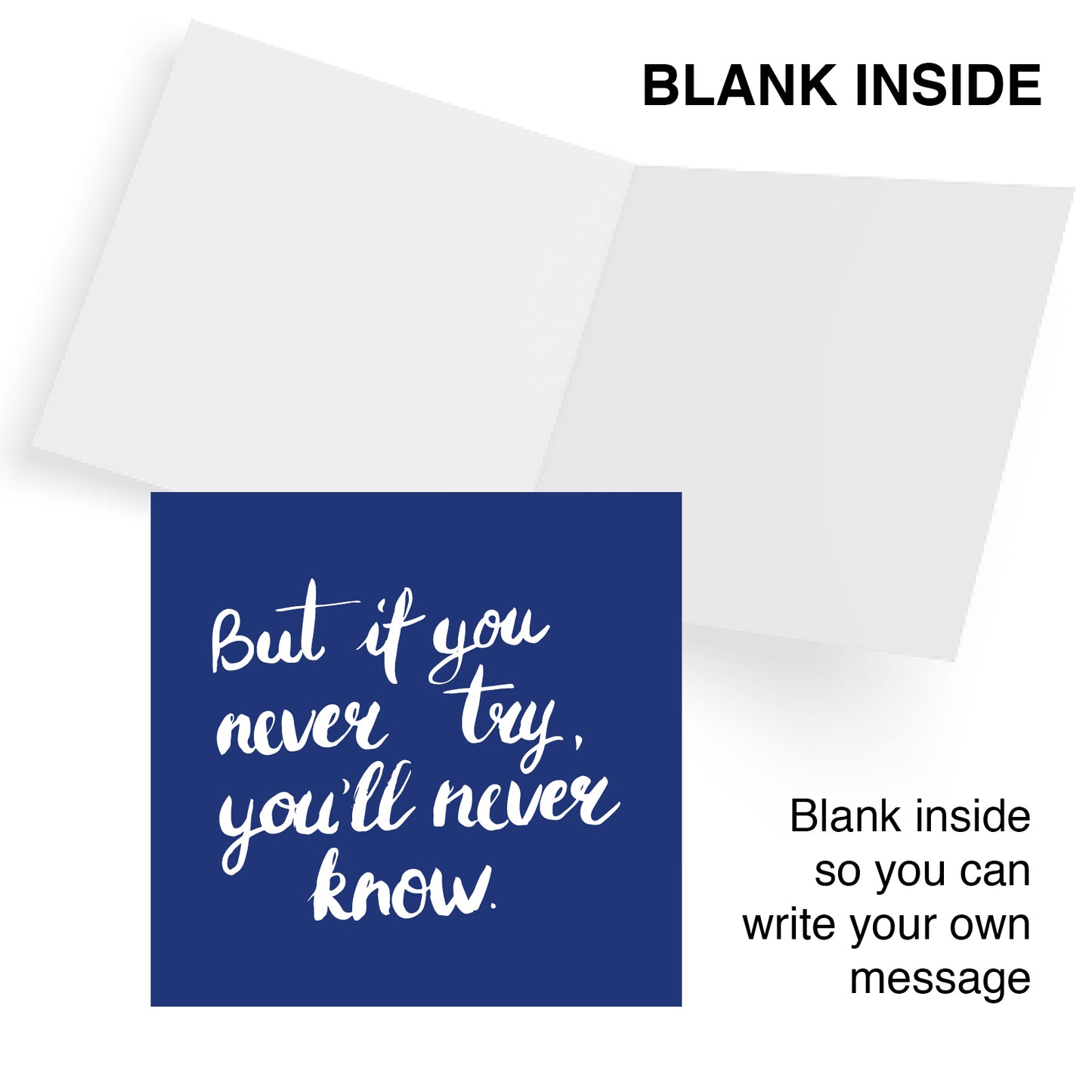 But If You Never Try You’ll Never Know