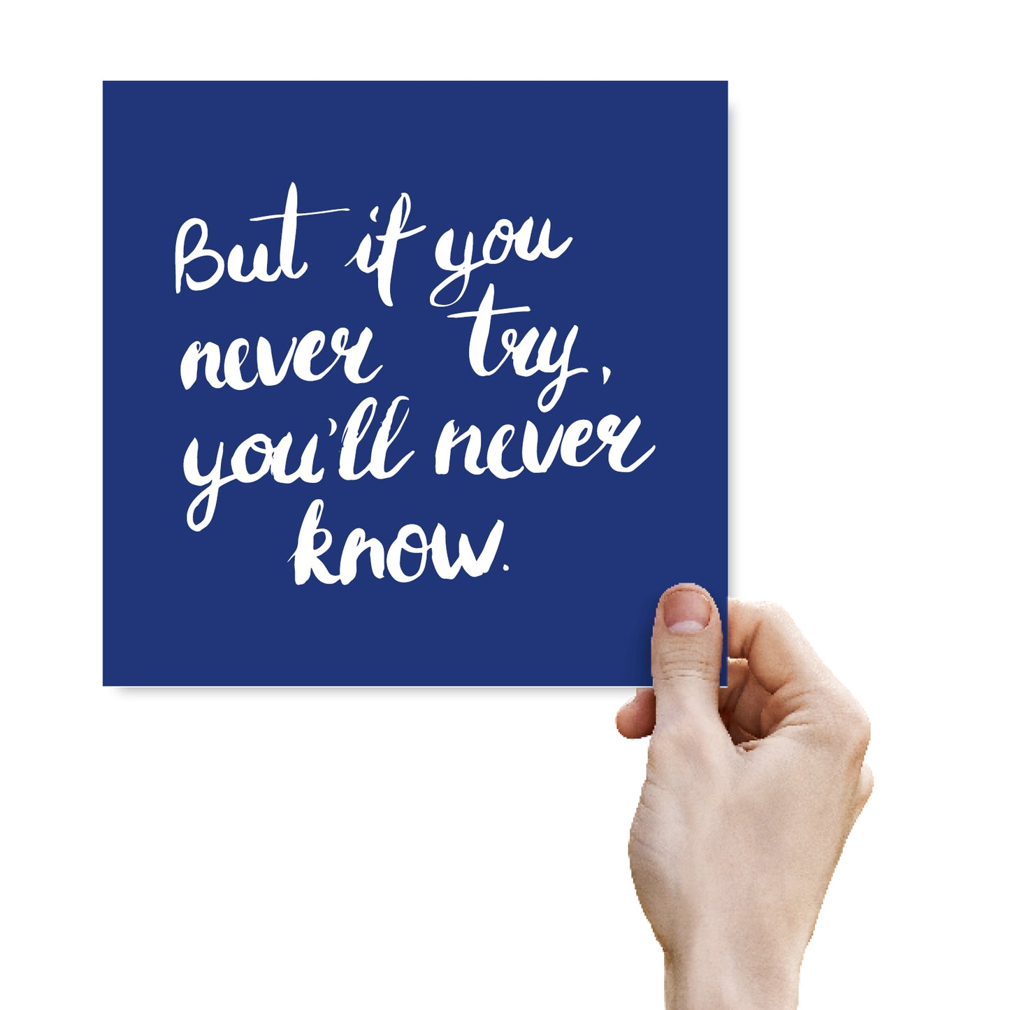 But If You Never Try You’ll Never Know
