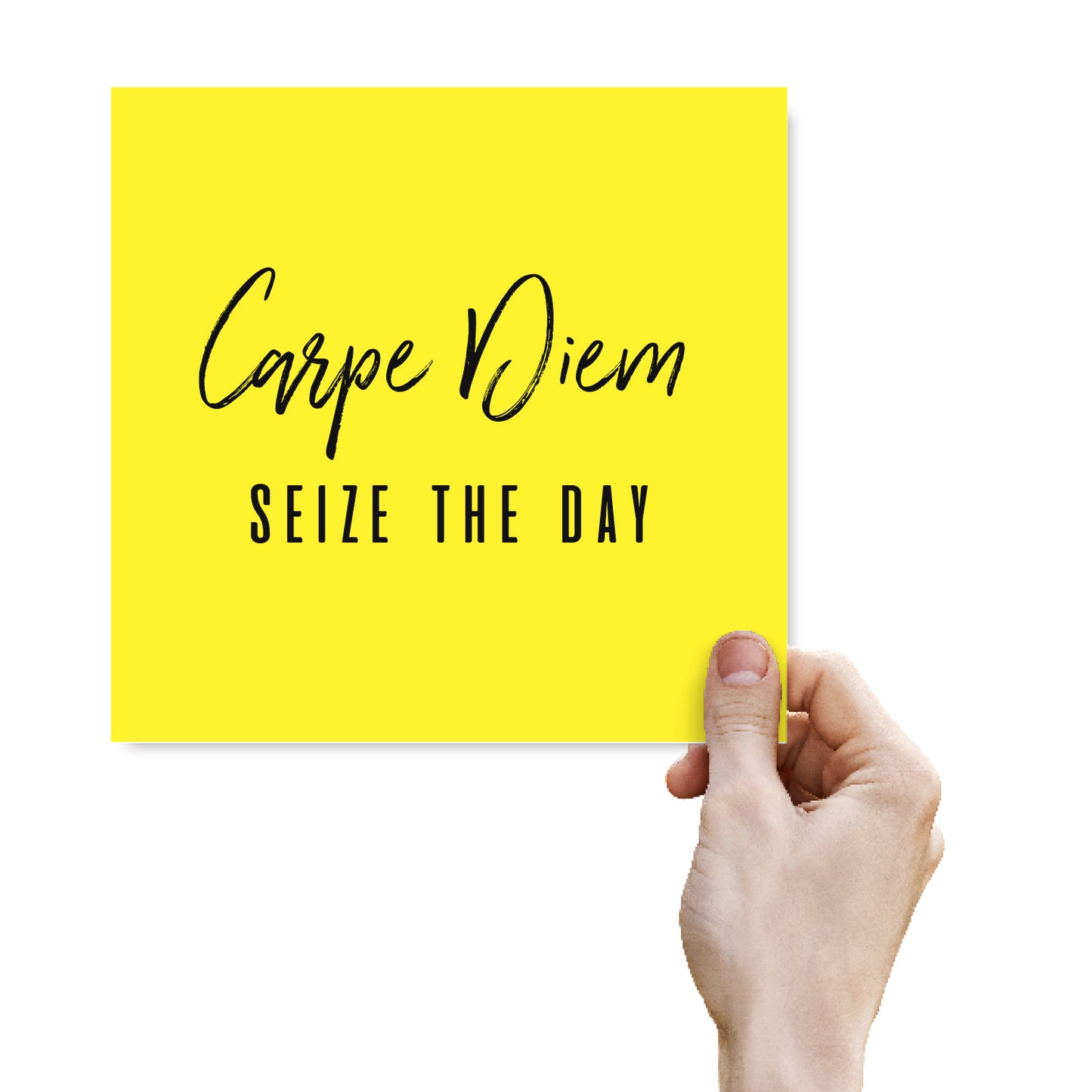 Carpe Diem Seize The Day