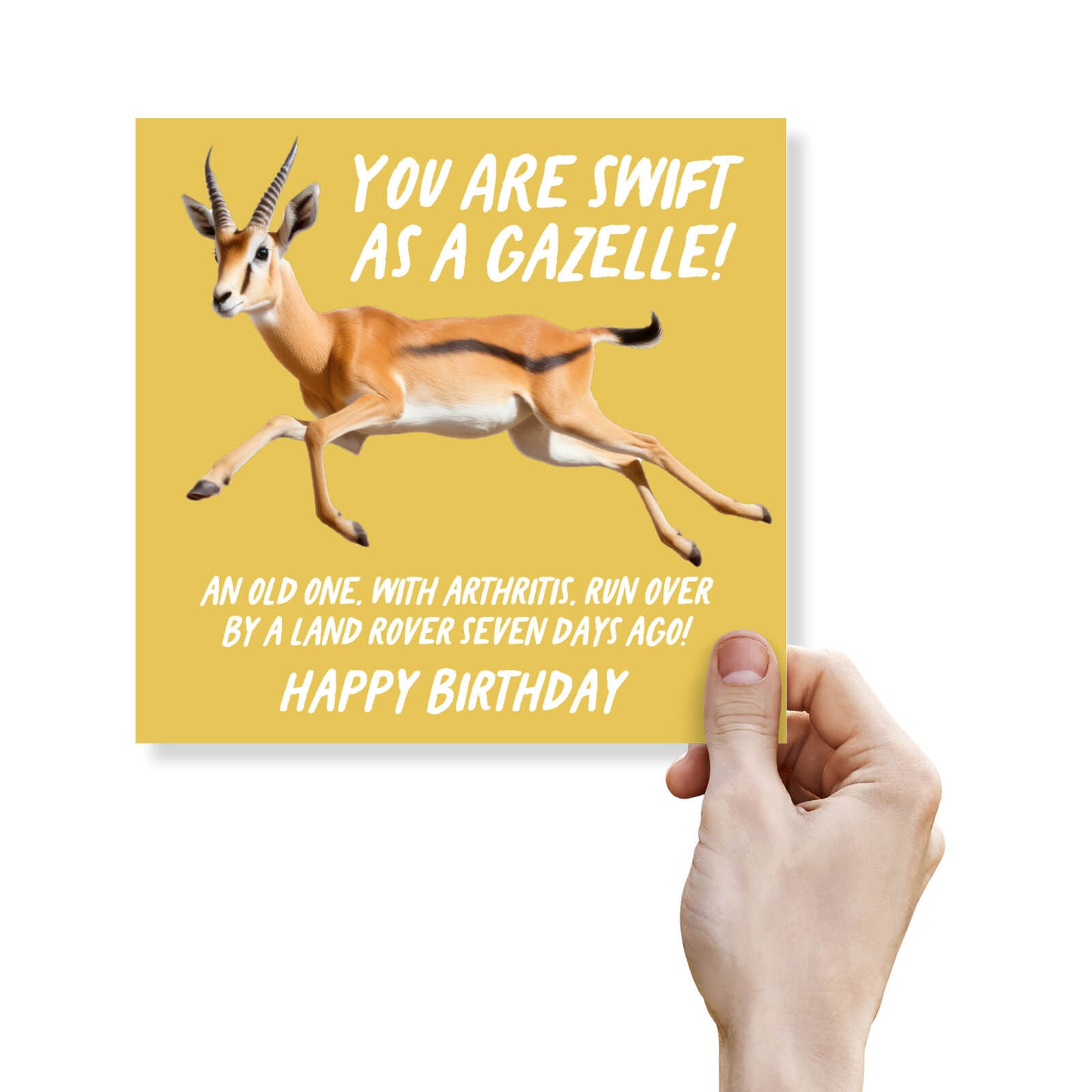 Swift as a Gazelle (Sort Of…)