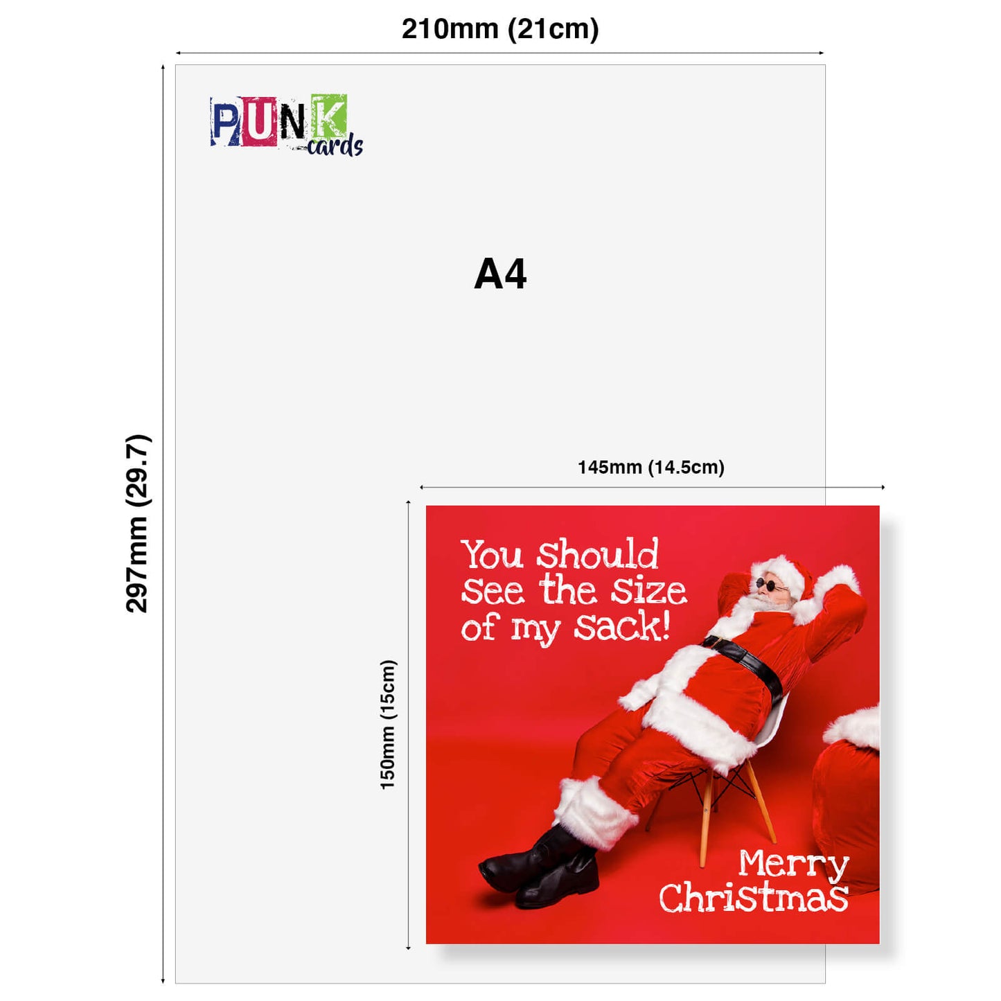 See the Size of My Sack Christmas Card