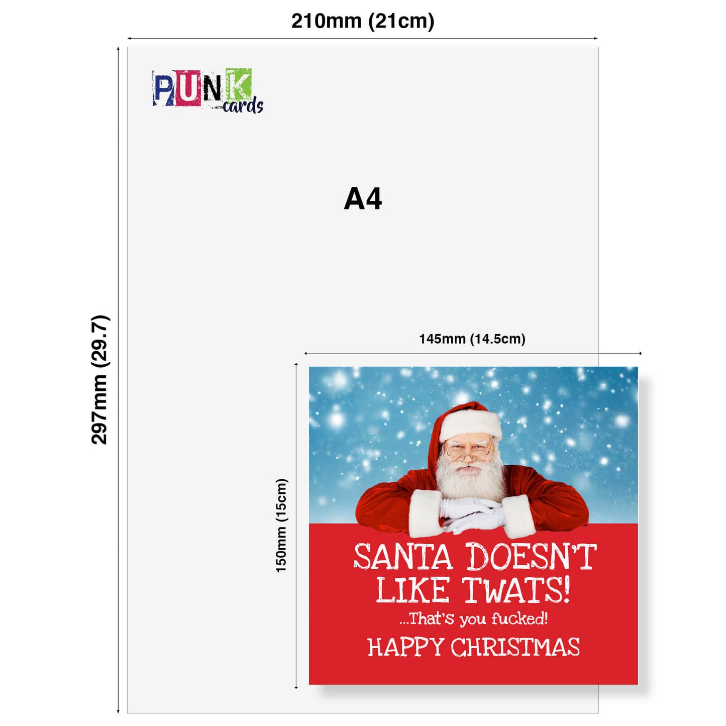 Santa Doesn’t Like Twats Card