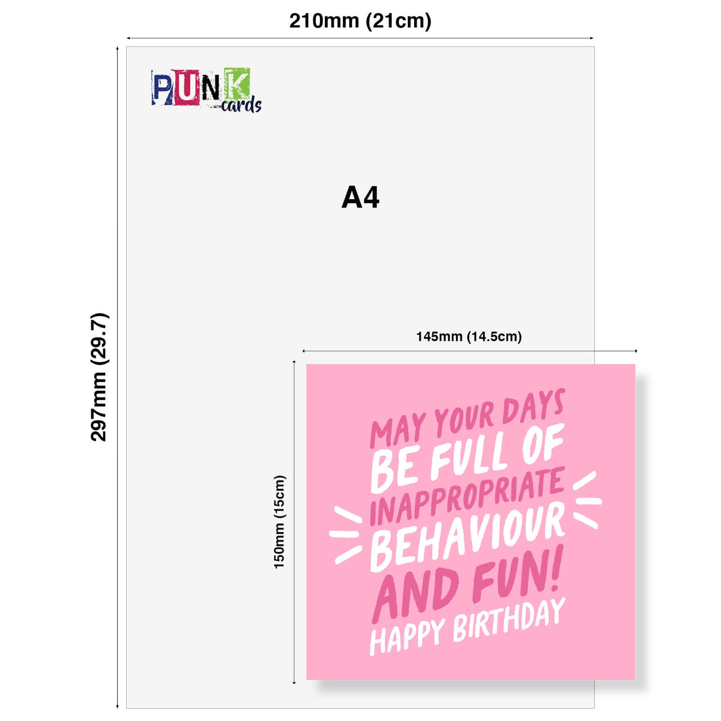 May Your Days Be Full of Inappropriate Behaviour and Fun Birthday Card