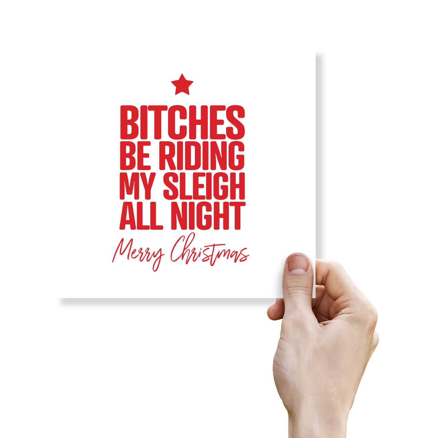 Bitches Be Riding My Sleigh
