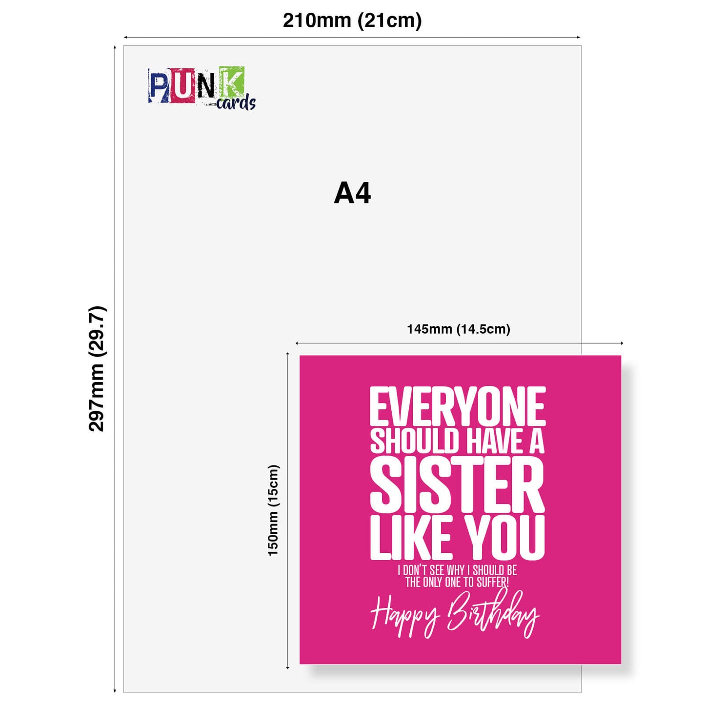 Everyone Should Have a Sister Like You Birthday Card