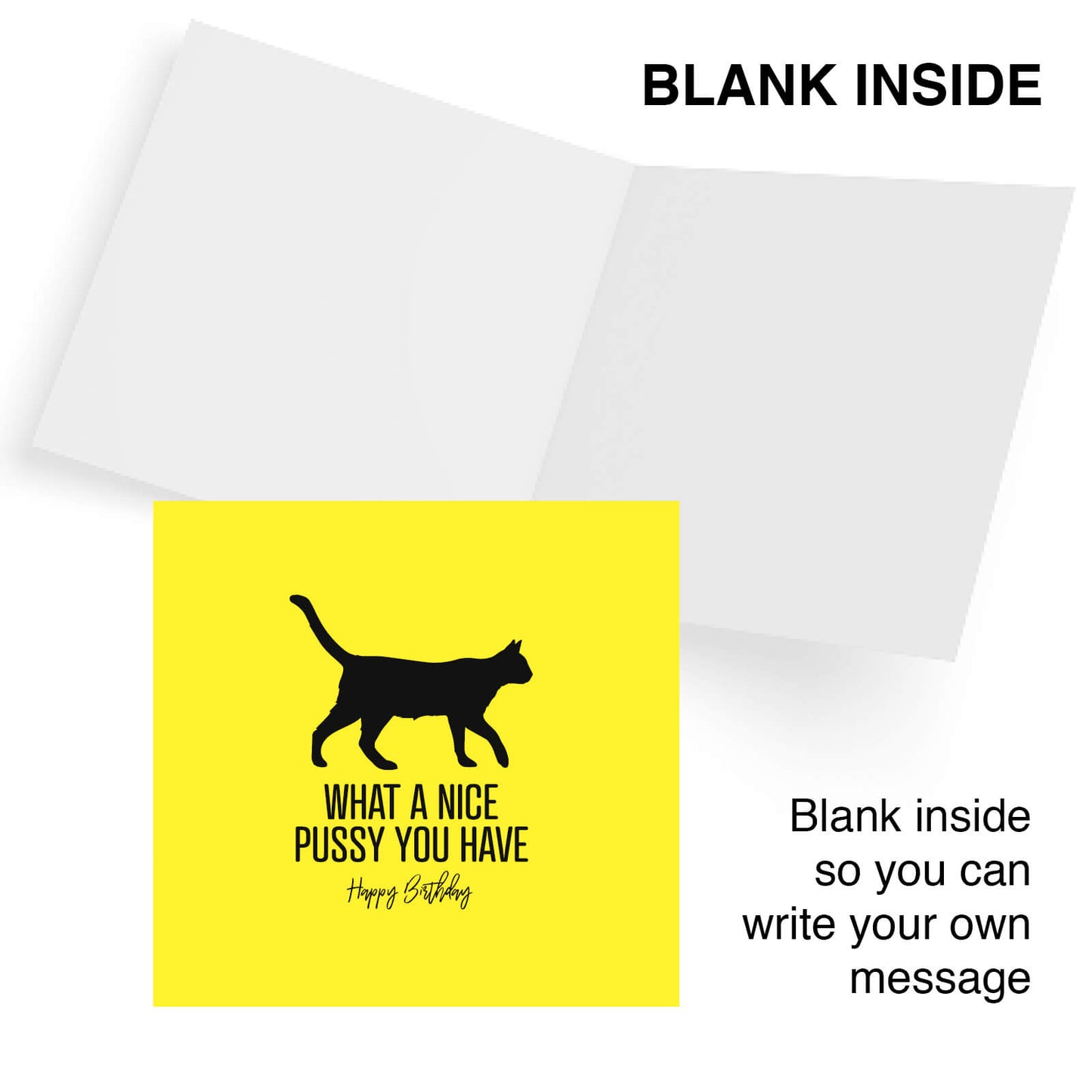What a Nice Pussy – Birthday Card