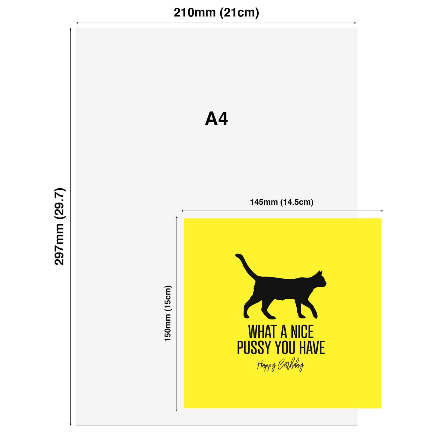 What a Nice Pussy – Birthday Card