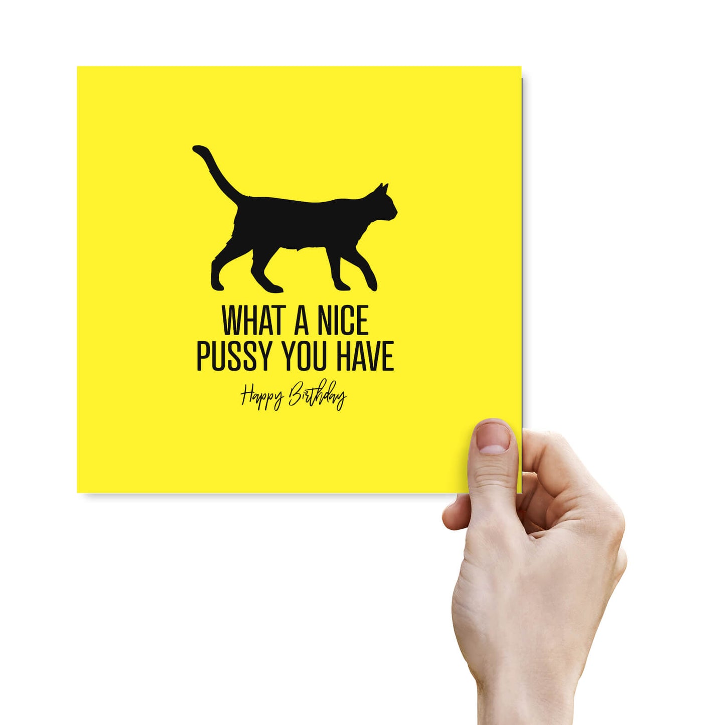 What a Nice Pussy – Birthday Card