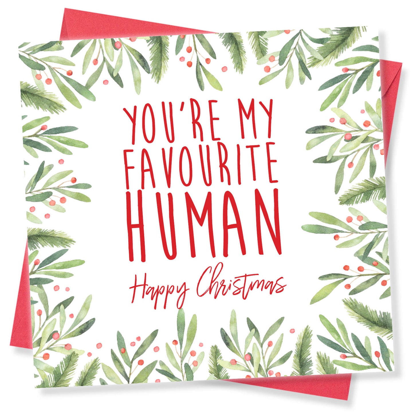 You’re My Favourite Human - Christmas Card
