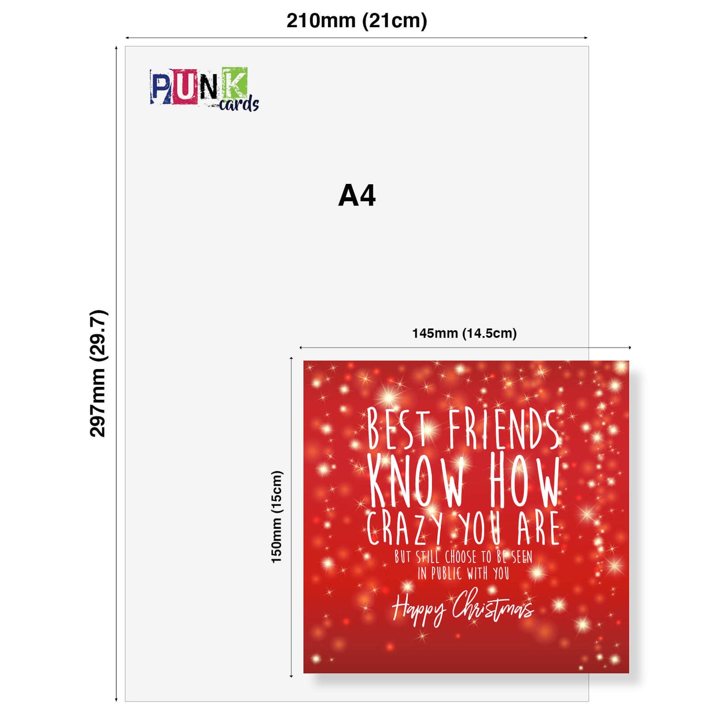 Best Friends Know How Crazy You Are Christmas Card
