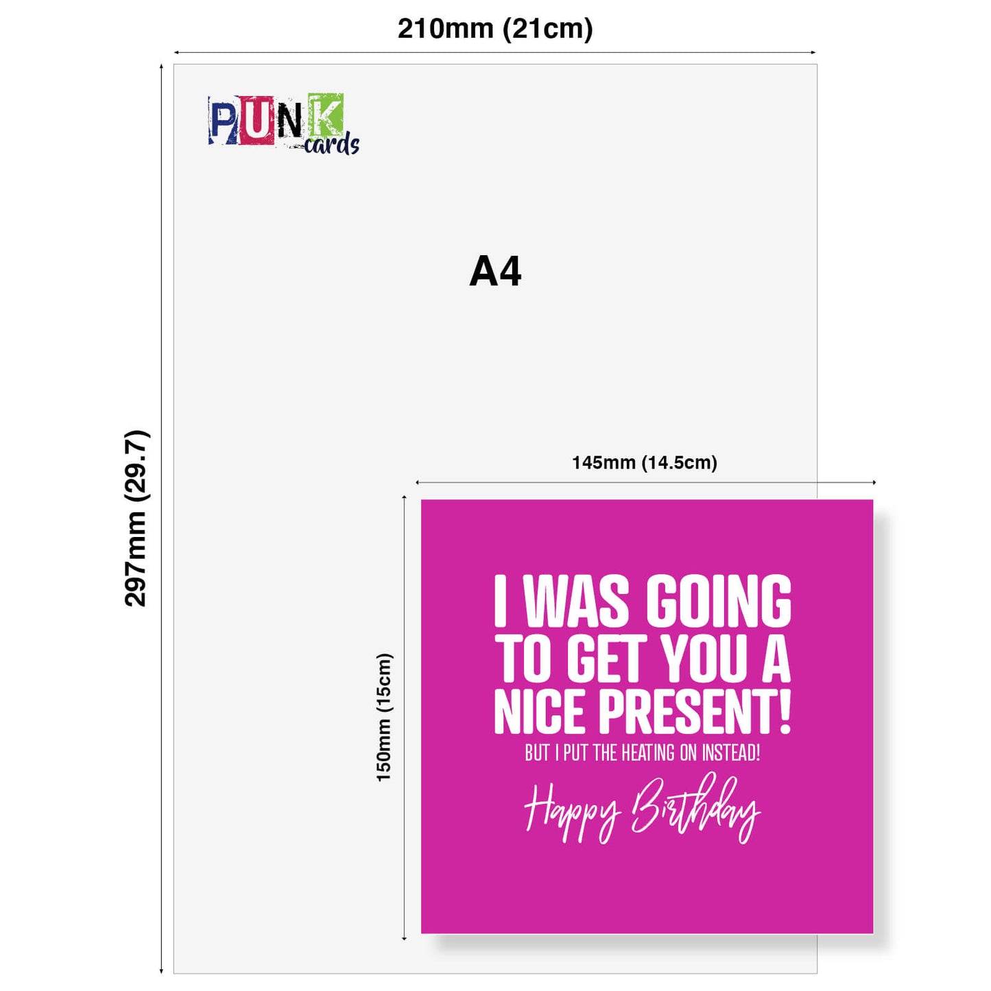 I Was Going to Get You a Nice Present… Funny Birthday Card