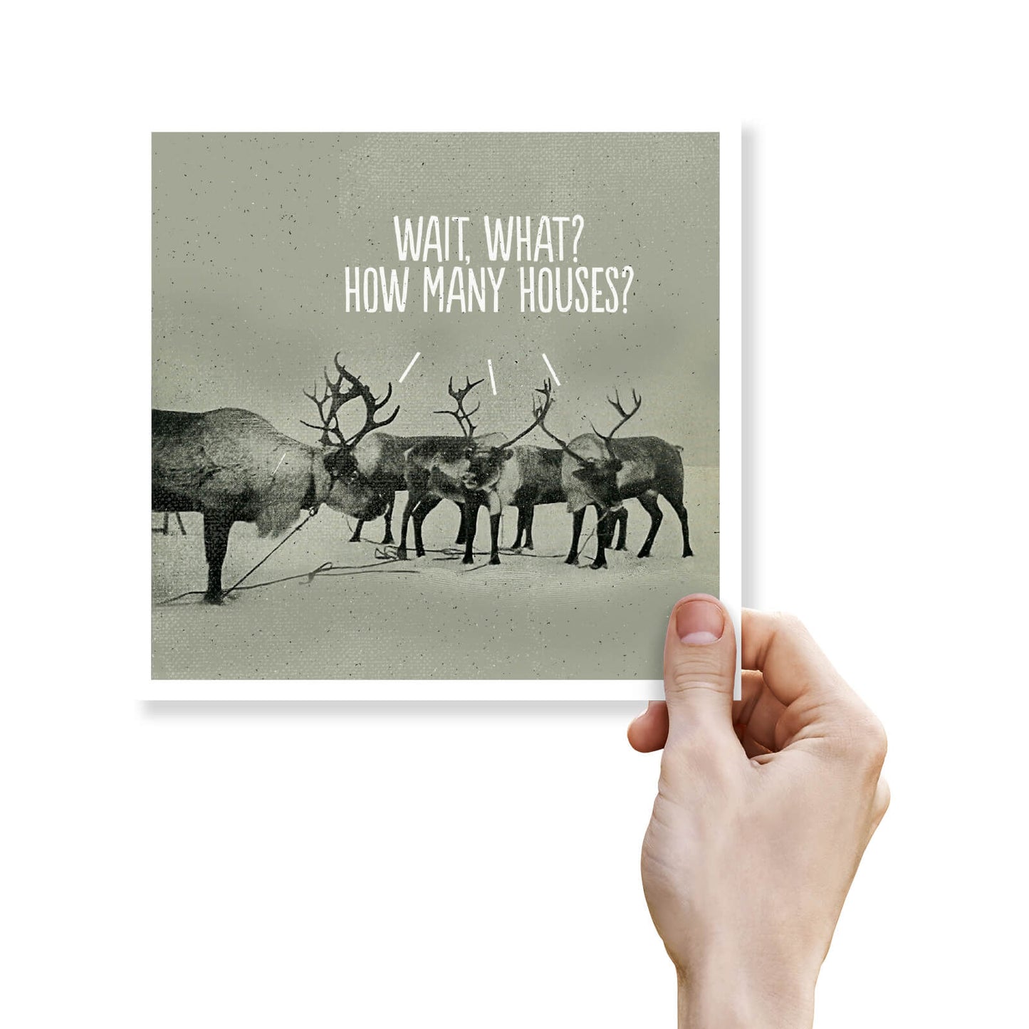 "Wait, What? How Many Houses?" - Funny Reindeer Christmas Card