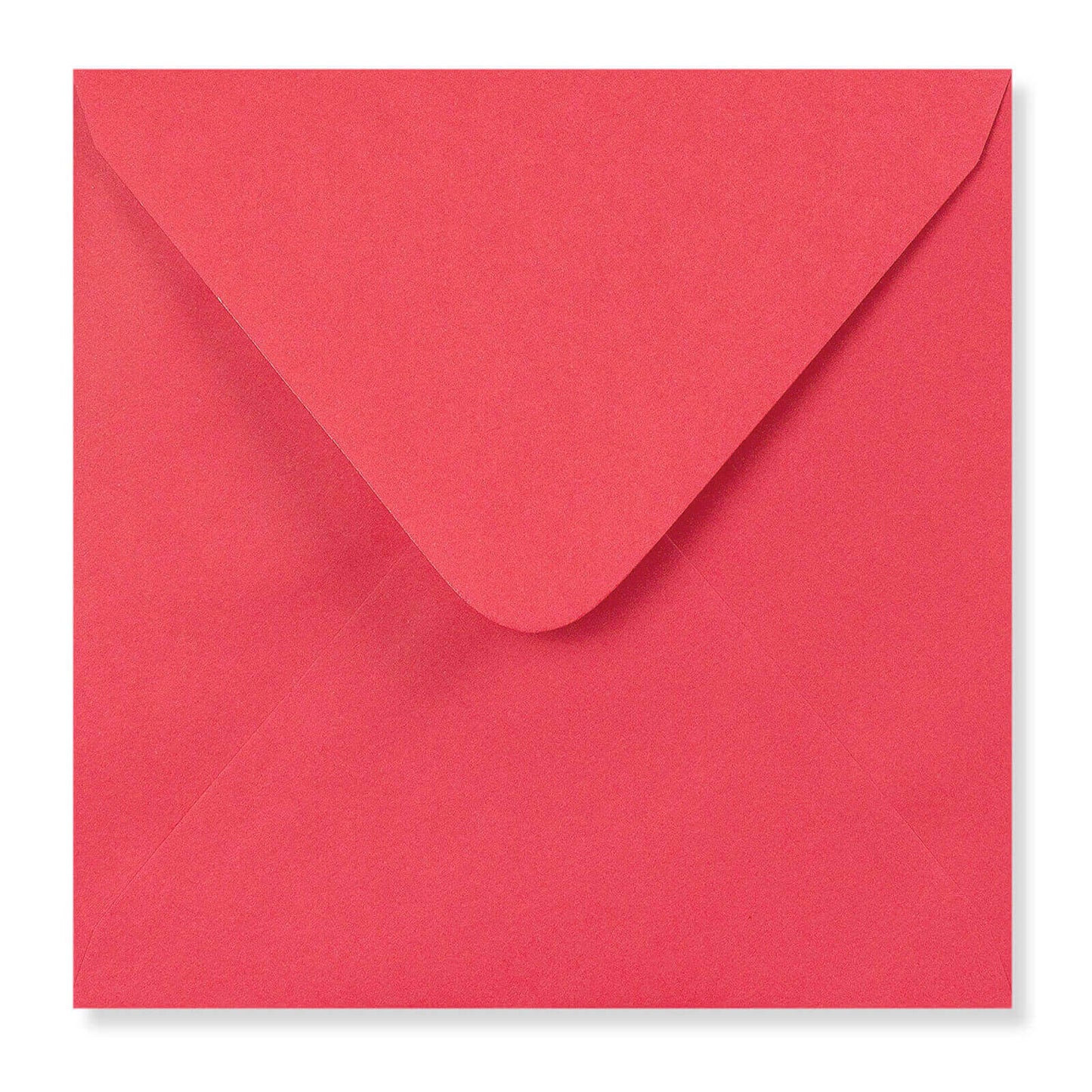 I Love You More and More Every Day Valentine's Day Card