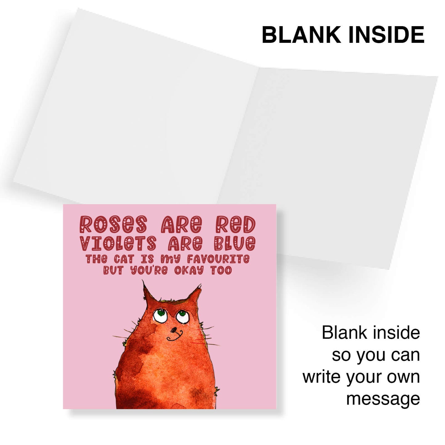 The Cat Is My Favourite – Funny Pet-Lover Birthday Card