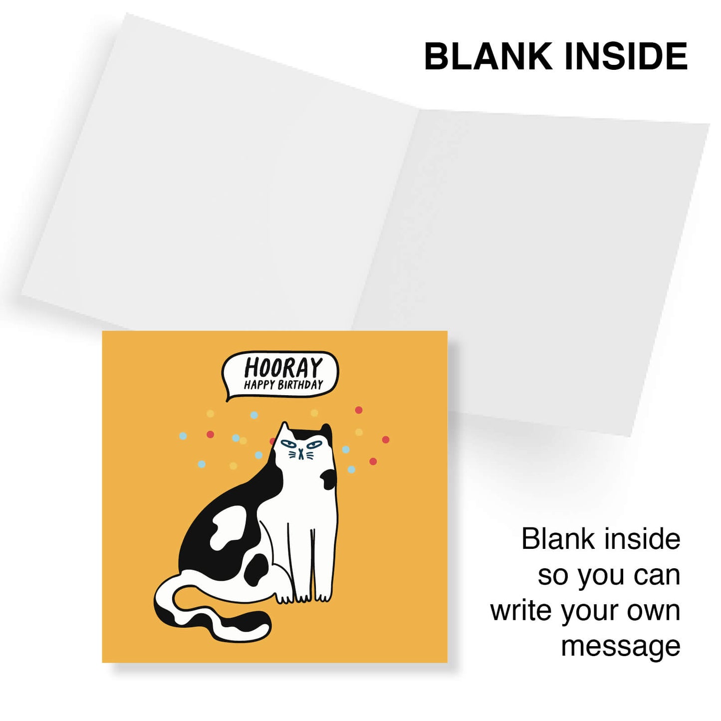Hooray! Happy Birthday – Grumpy Cat Card