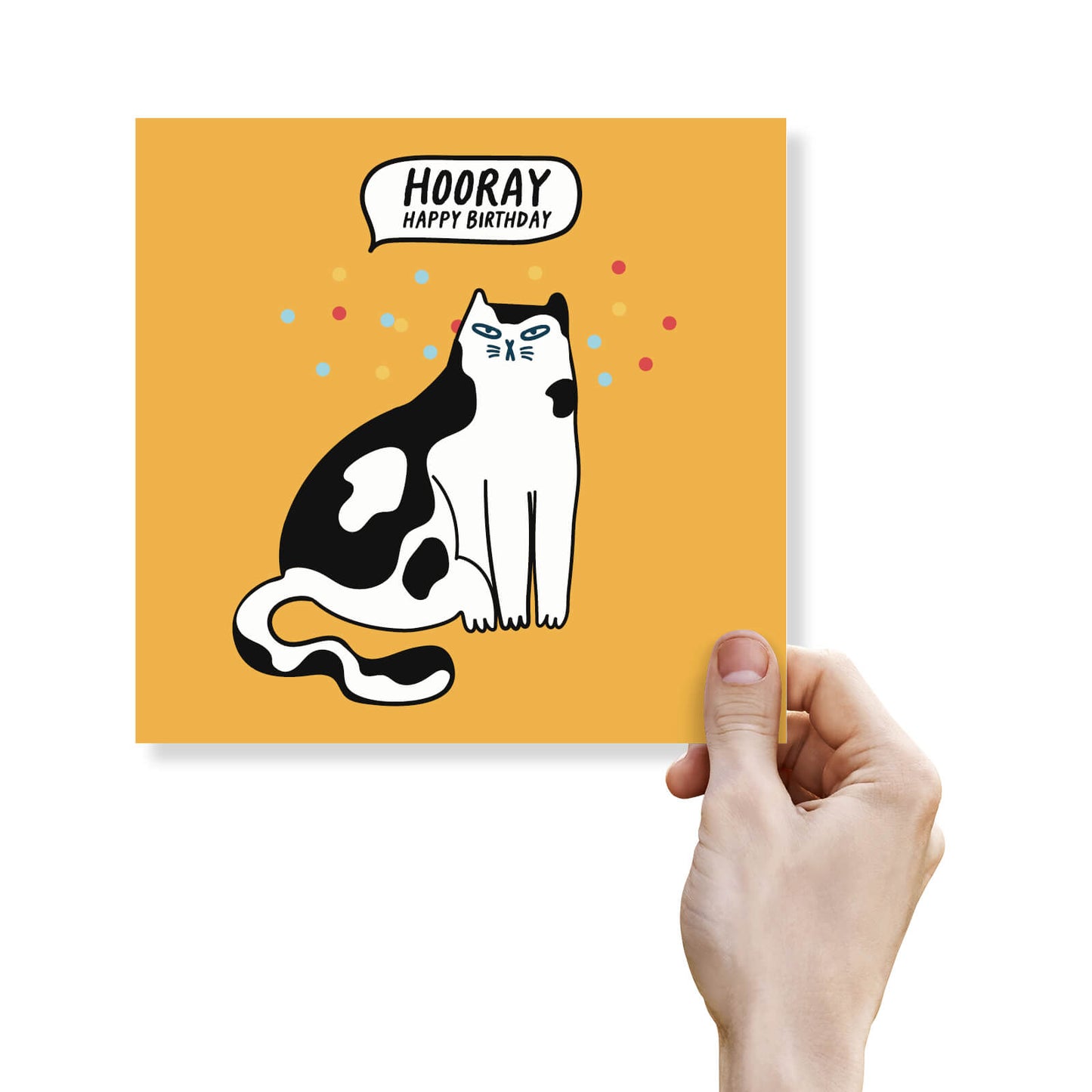Hooray! Happy Birthday – Grumpy Cat Card