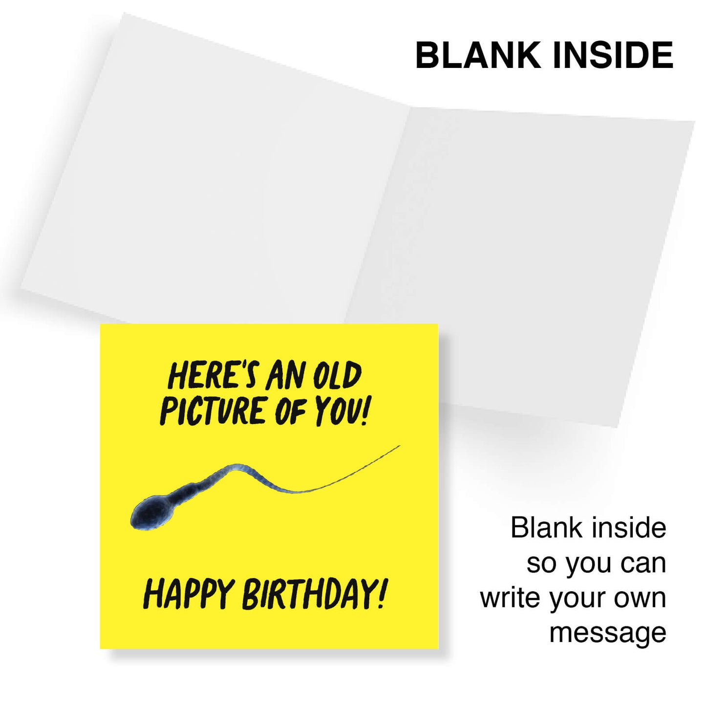 Old Picture of You – Funny Birthday Card
