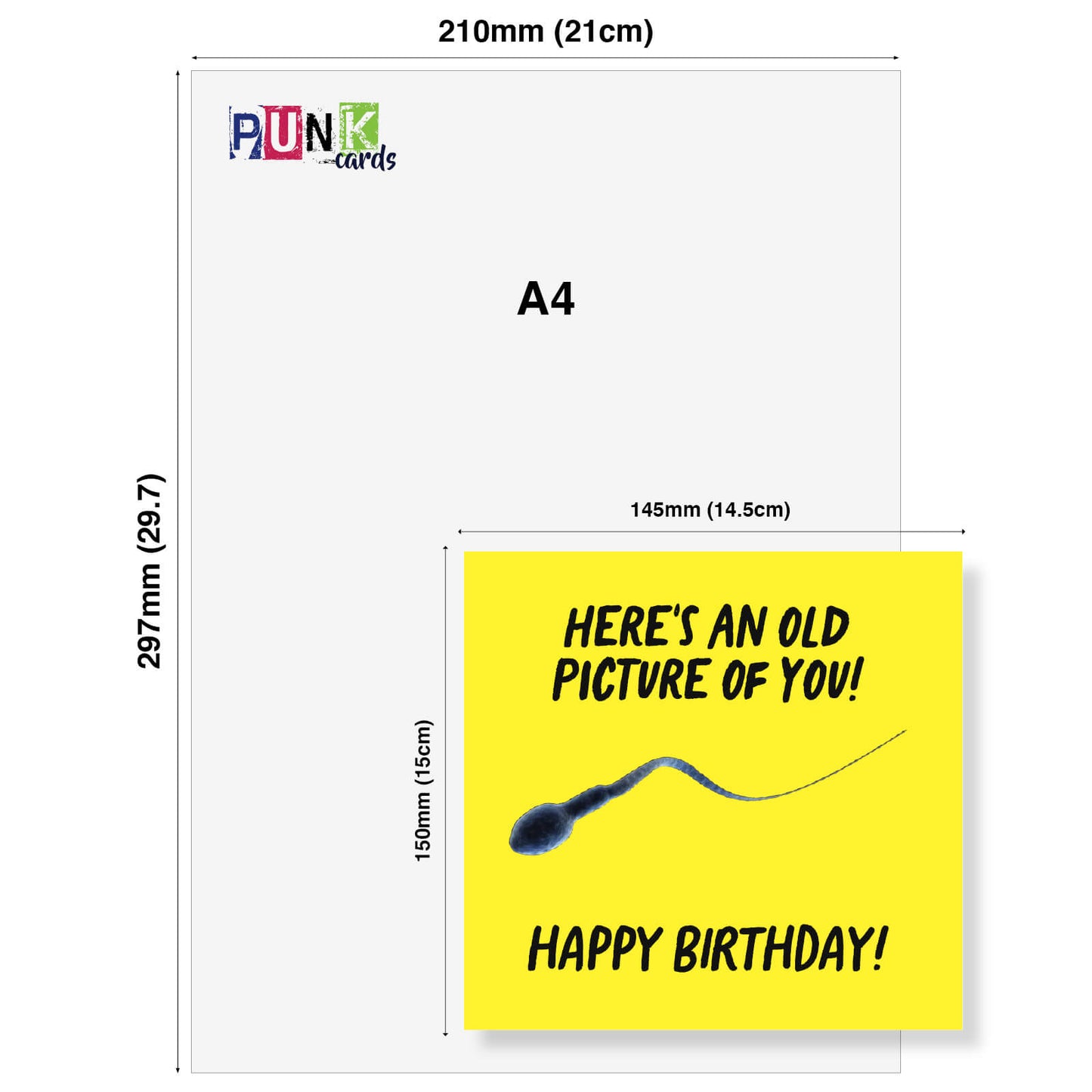 Old Picture of You – Funny Birthday Card