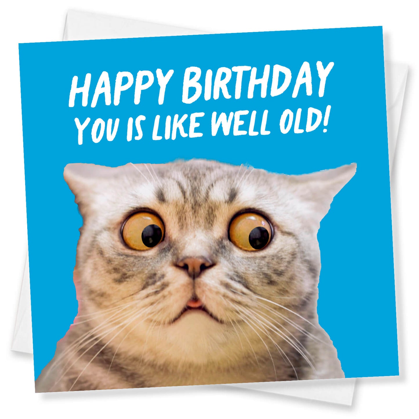 You Is Like Well Old (Cat)