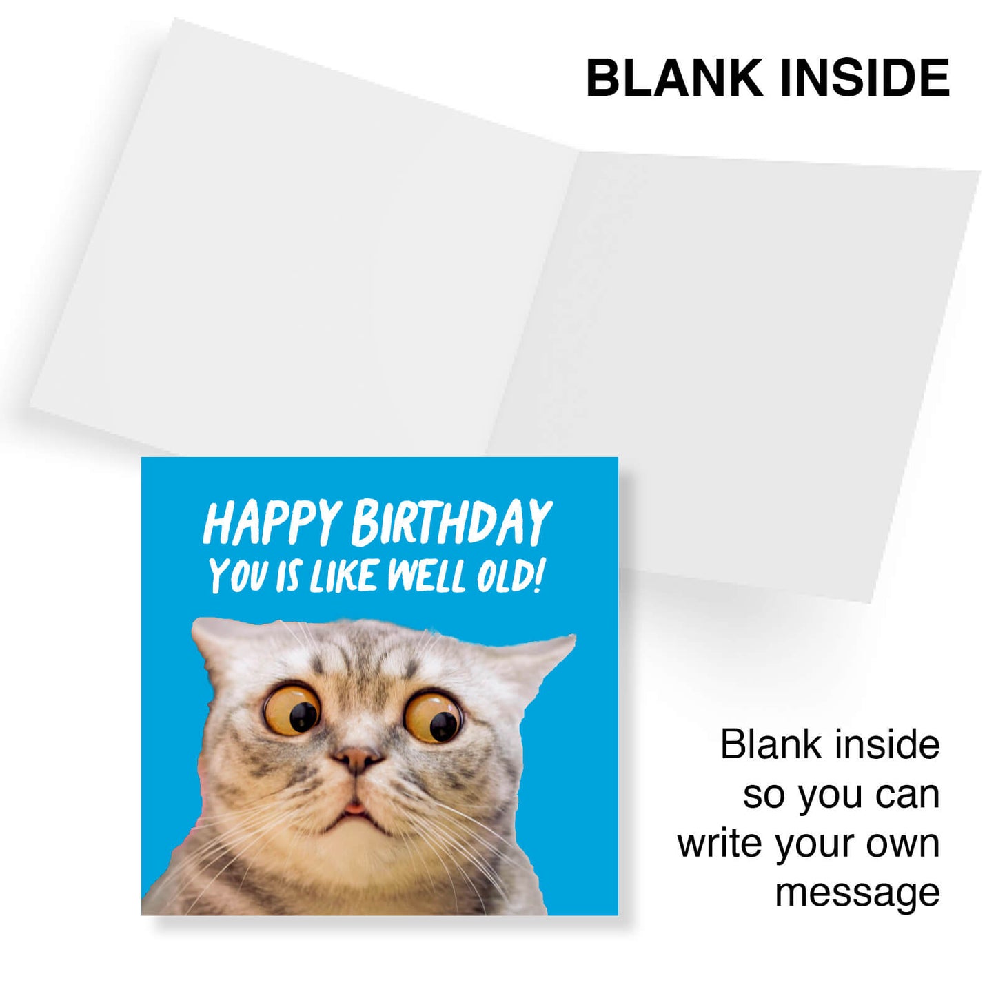 You Is Like Well Old (Cat)