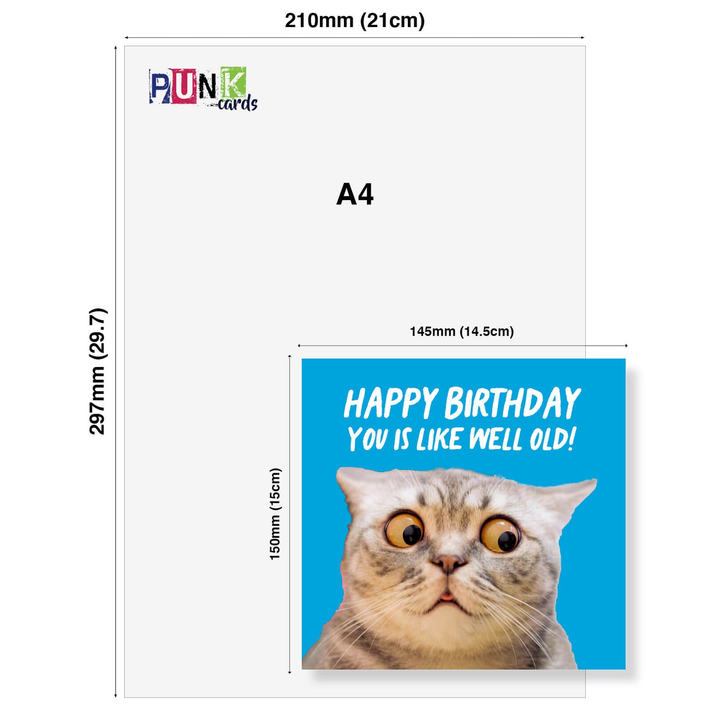 You Is Like Well Old (Cat)
