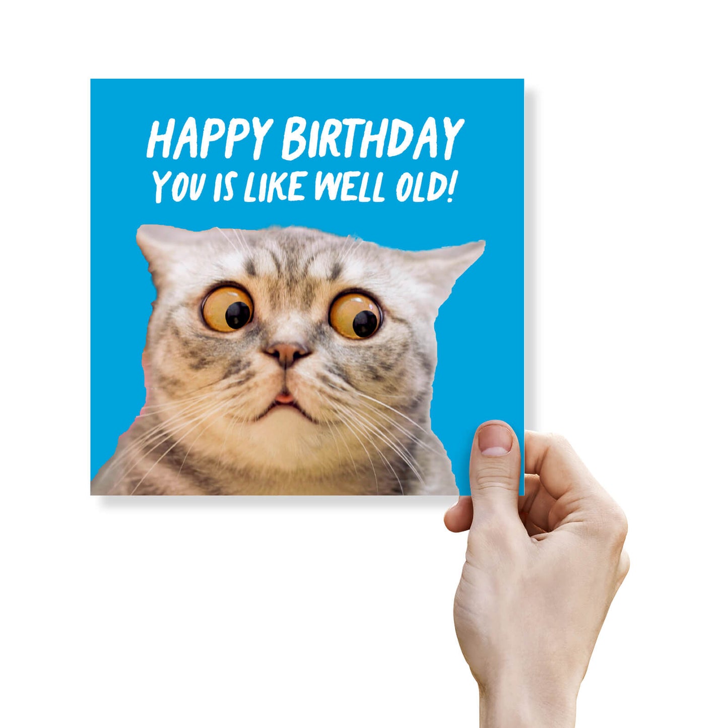 You Is Like Well Old (Cat)