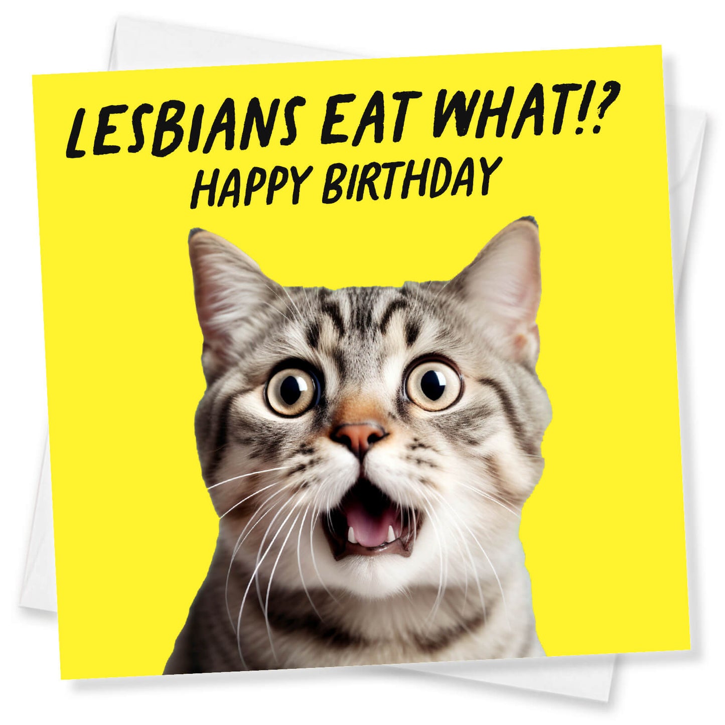 Lesbians Eat What!? – Funny Cat Birthday Card