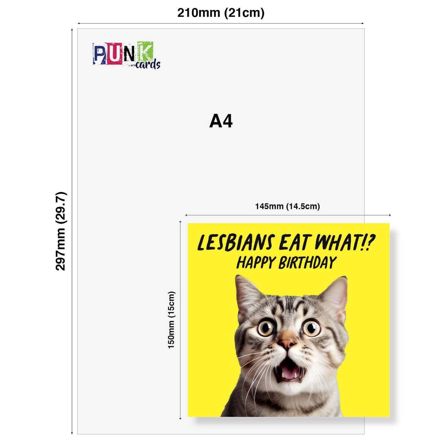 Lesbians Eat What!? – Funny Cat Birthday Card
