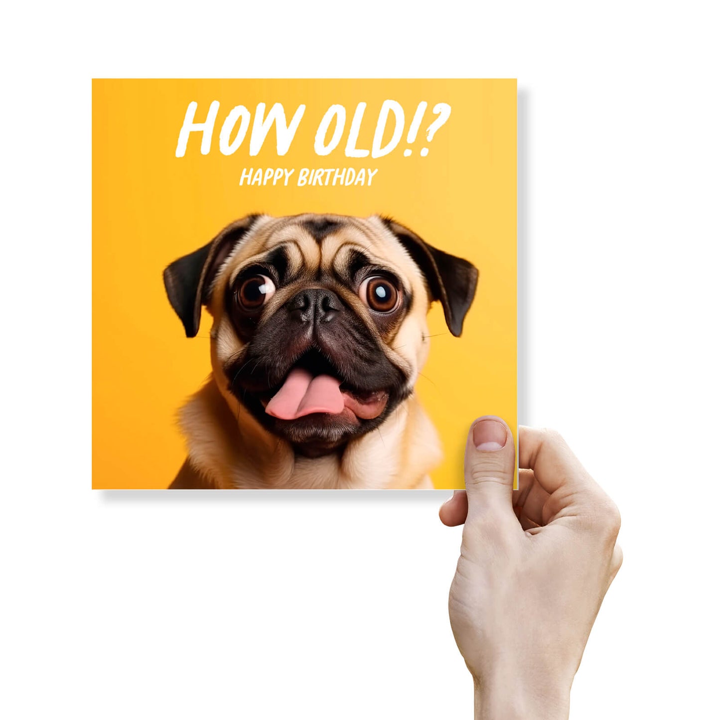 How Old!? – Pug Birthday Card