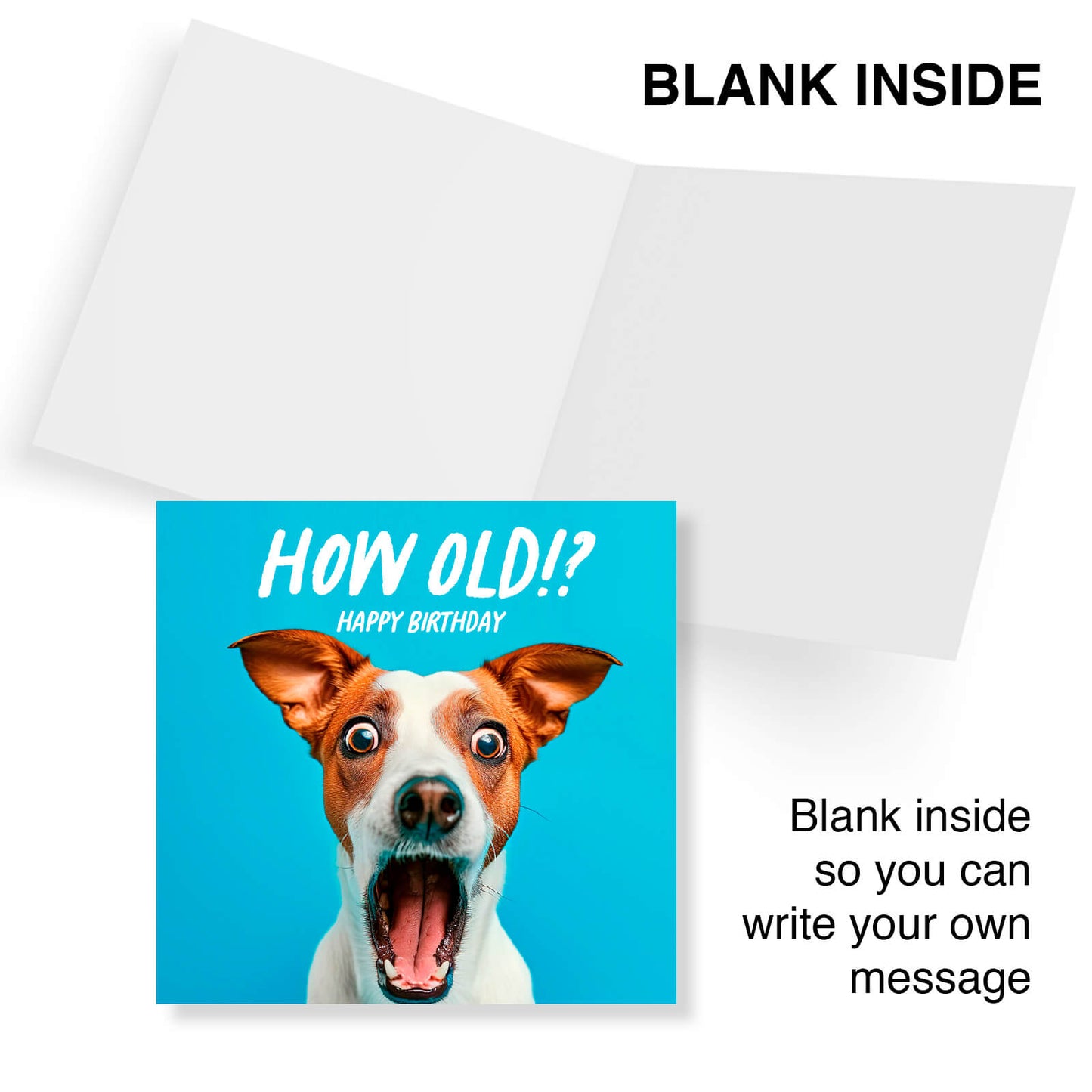How Old!? – Jack Russell Birthday Card