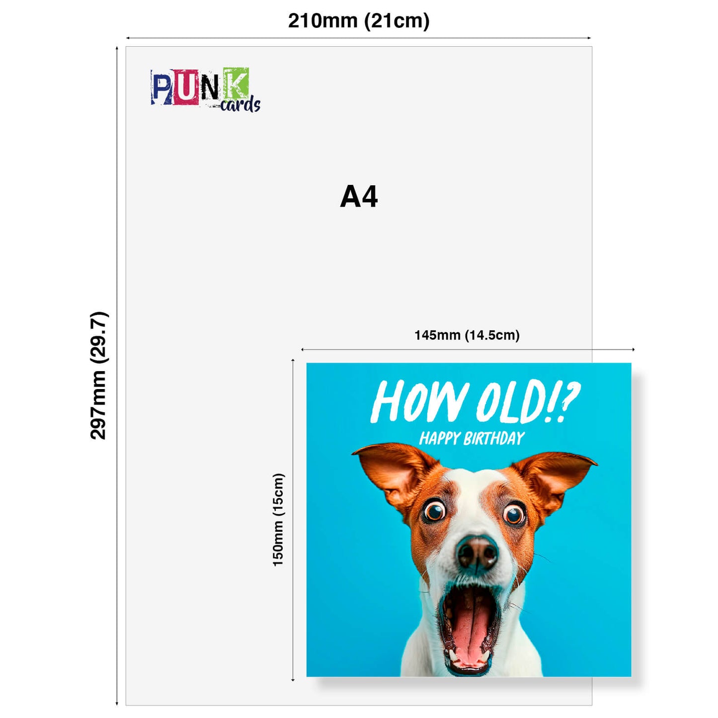 How Old!? – Jack Russell Birthday Card