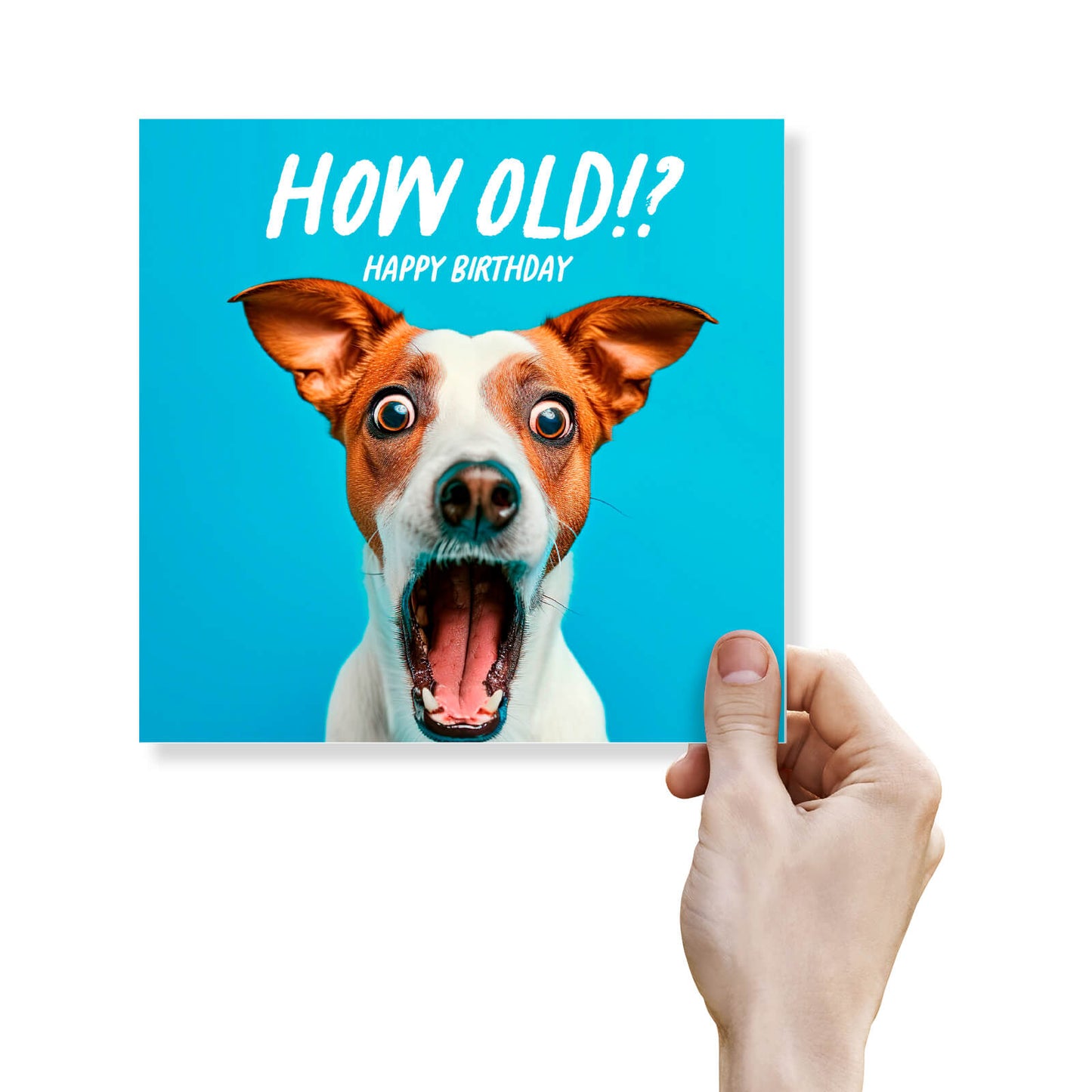 How Old!? – Jack Russell Birthday Card