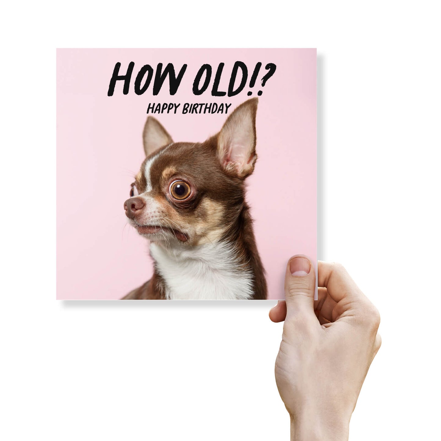 How Old!? – Chihuahua Birthday Card