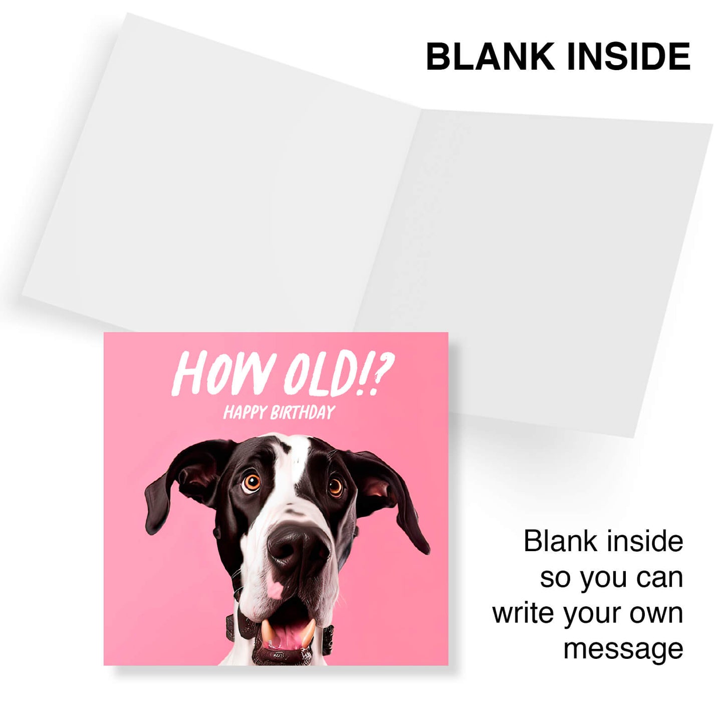 How Old!? – Great Dane Birthday Card