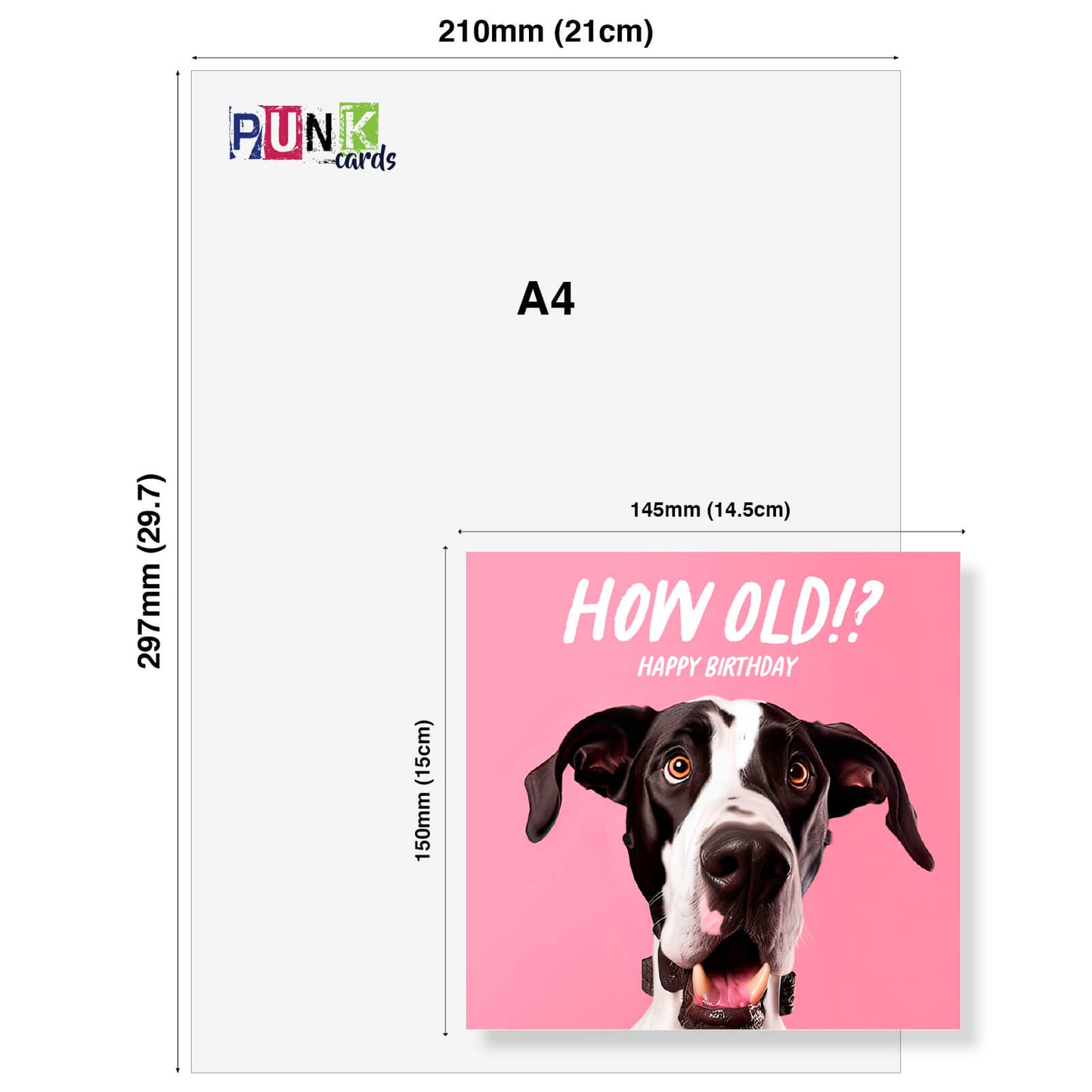 How Old!? – Great Dane Birthday Card
