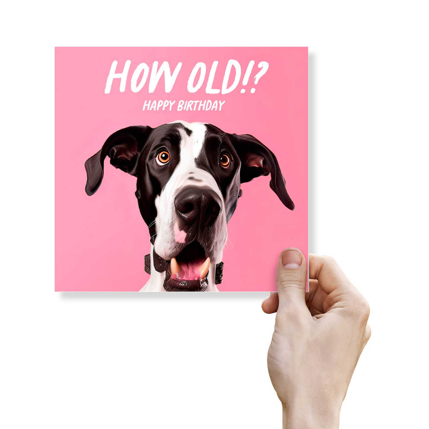 How Old!? – Great Dane Birthday Card