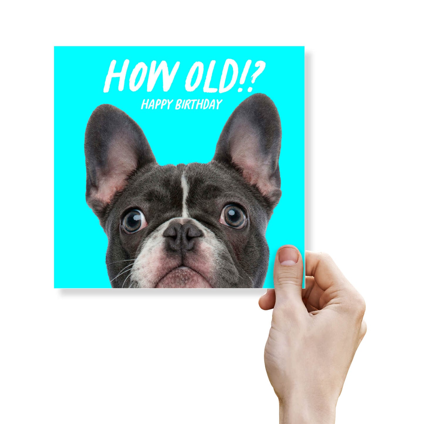 How Old!? – Boston Terrier Birthday Card