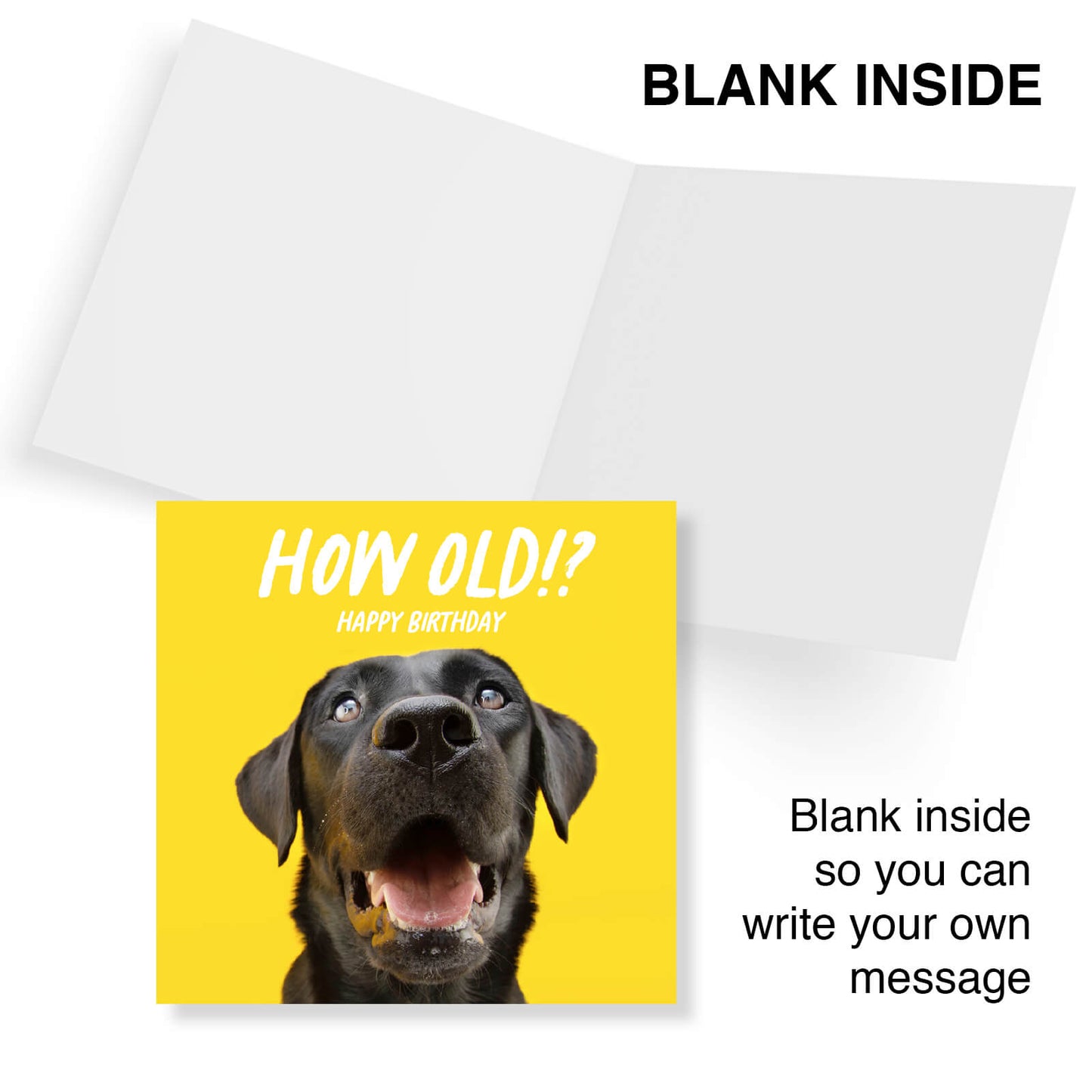 How Old!? – Black Labrador Birthday Card