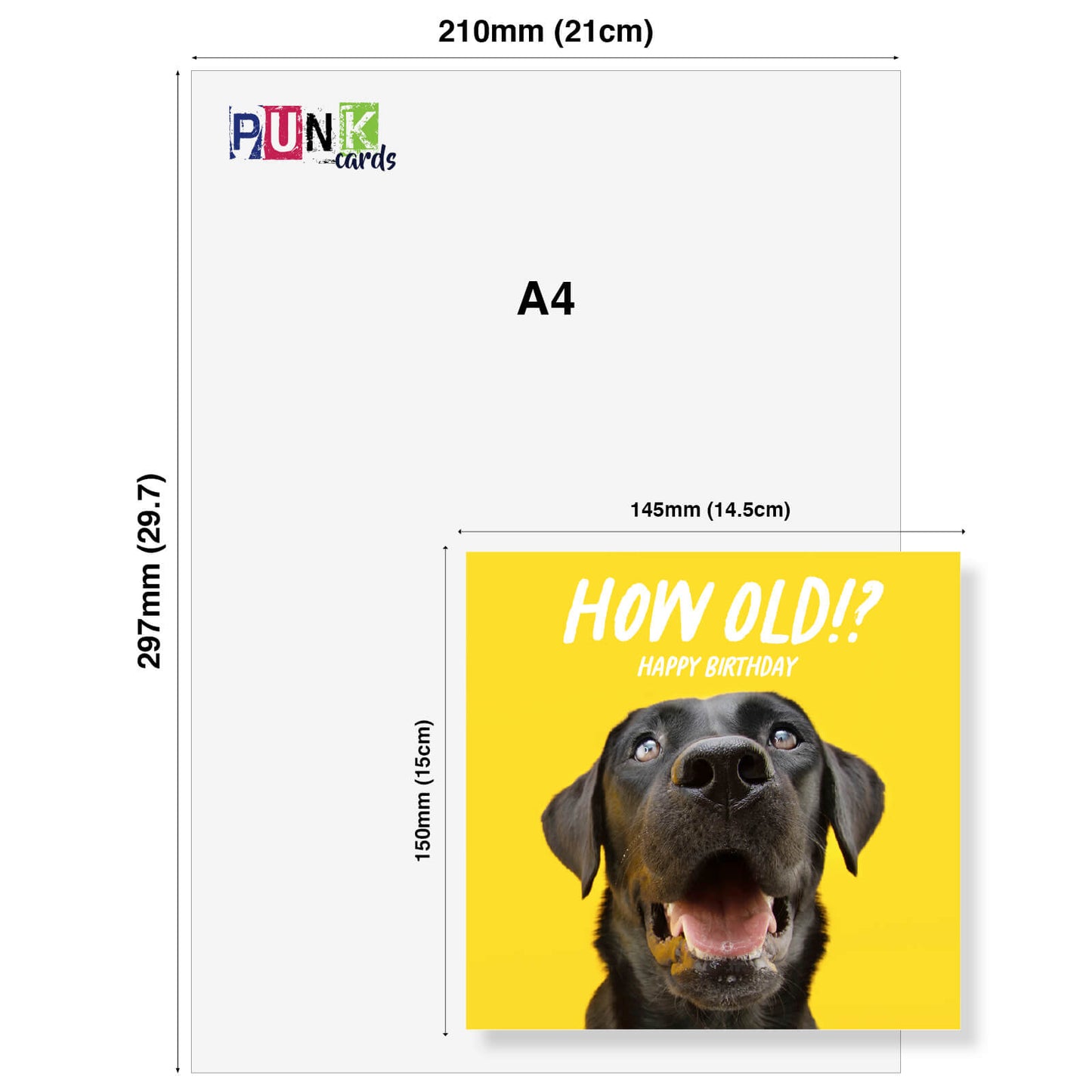 How Old!? – Black Labrador Birthday Card