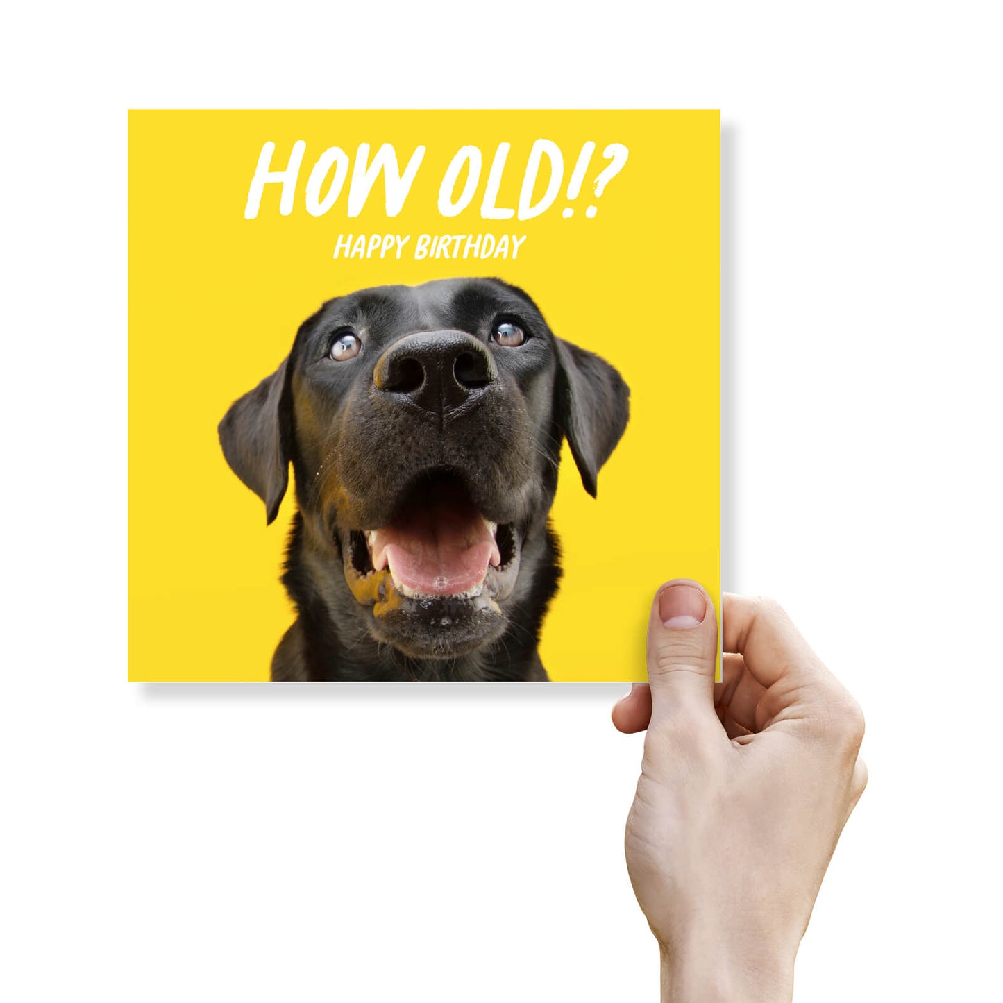 How Old!? – Black Labrador Birthday Card