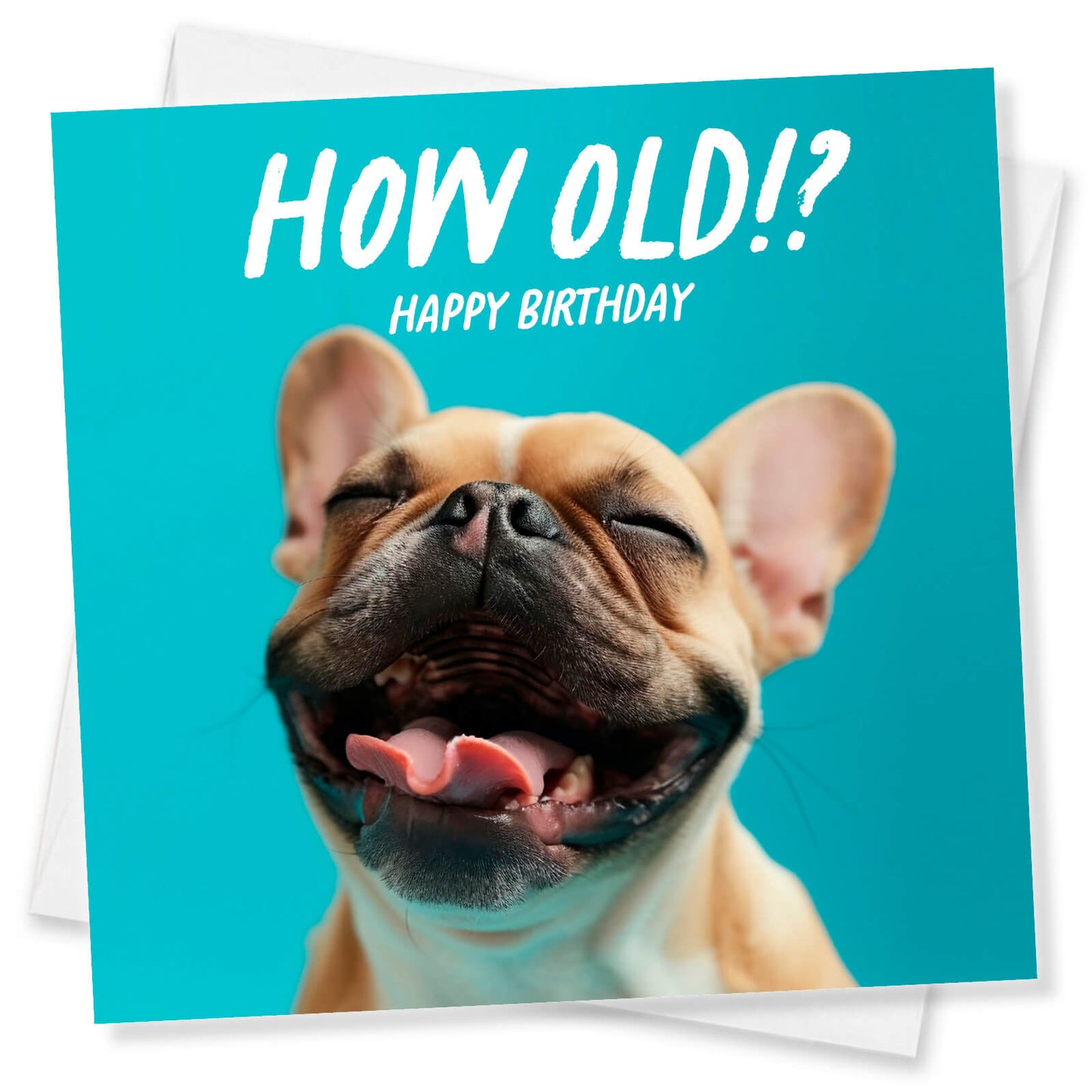 How Old!? – French Bulldog Birthday Card
